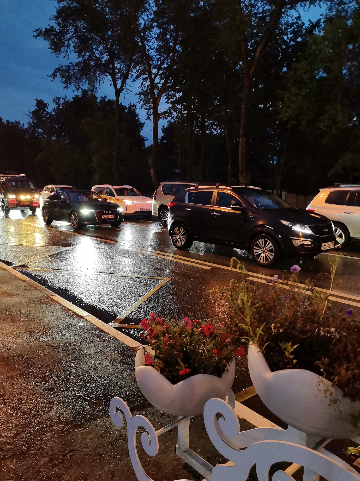 The image depicts a street scene in Krasnogorsk, Russia, during dusk or early evening. A line of cars is stopped on a wet asphalt road, indicated by reflections from headlights and streetlights. The road is marked with yellow and white lines. In the foreground, two white decorative planters hold red and purple flowers, with ornate white metalwork visible below. Behind the planters, trees with dark foliage line the street. The sky is a deep blue, suggesting twilight. Among the vehicles, a black Audi sedan with its headlights on is prominent, displaying the license plate "E238PK 777". A white Kia Sportage and other vehicles are also visible in the traffic jam. The overall impression is one of a quiet, damp evening in a residential or suburban area.