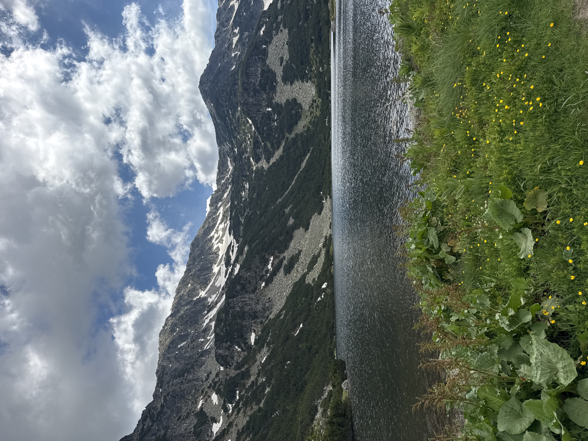 The image depicts a serene mountain lake scene in Avramovo, Bulgaria. A large, dark body of water occupies the middle ground, its surface rippled by a gentle breeze. The lake is bordered by a lush green shoreline adorned with various plants, including large-leafed vegetation and scattered yellow wildflowers.
In the background, imposing mountains rise majestically. The lower slopes are covered in dense, dark green coniferous trees, interspersed with patches of grey rocks and sparse snow. Higher up, the mountain peaks are rugged and rocky, with streaks of snow still visible despite the season, suggesting a high-altitude environment. The sky above is a vibrant blue, punctuated by scattered, fluffy white clouds that cast soft shadows on the mountains. The overall impression is one of natural beauty and tranquility in a remote mountain setting. There are no people or animals visible in the frame.