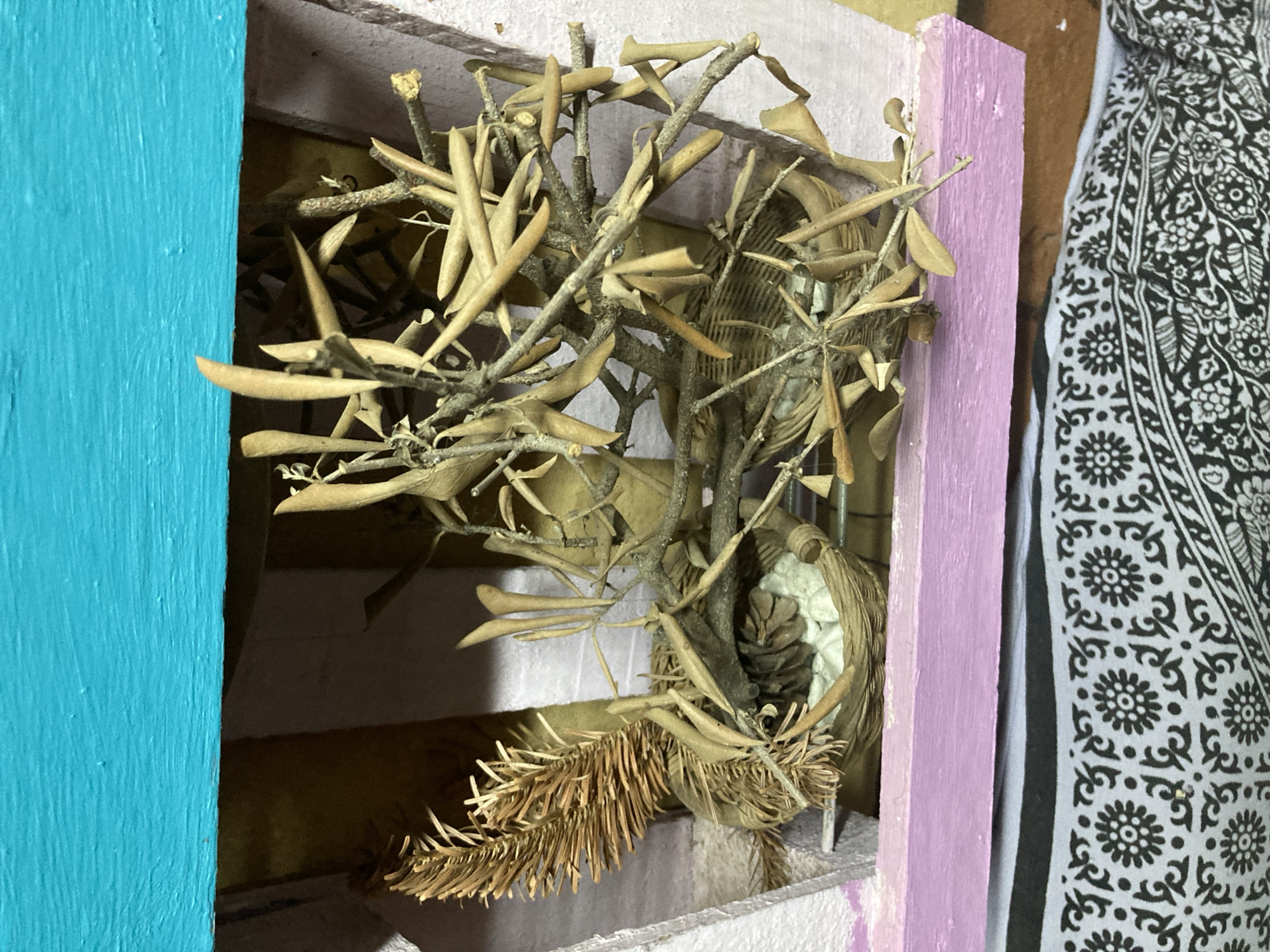 A close-up, top-down shot shows a decorative arrangement of dried natural materials within a multi-colored recessed shelf or niche. The top of the niche is painted a vibrant turquoise, and a shelf below it is painted lavender. The arrangement features a small, woven basket containing white, pebble-like objects and a pinecone. To the left of the basket, a dried pine sprig is placed upright. To the right and center, a cluster of dried branches with small, dried leaves is arranged, with some branches resting on the basket. The background appears to be a dark, indistinct surface. The niche is situated above a black and white patterned fabric, possibly a blanket or tapestry. The image does not provide any clues as to its specific location within the city of Sabadell, Spain.