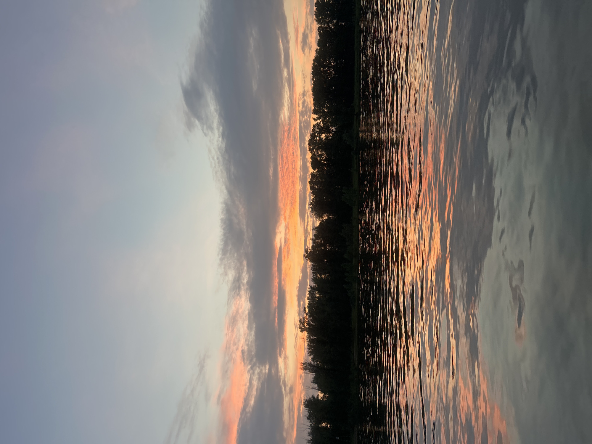 This image depicts a serene sunset over the Volga River near Noviy, Russia. The sky is a gradient of soft blues and grays, transitioning to vibrant oranges and pinks near the horizon where the sun is setting. Wispy clouds are scattered across the sky, reflecting the warm hues of the sunset. A dense line of dark green trees forms a silhouette along the riverbank, creating a stark contrast against the colorful sky. The surface of the Volga River is calm, with gentle ripples reflecting the colors of the sky and the trees. The overall impression is one of tranquility and natural beauty at dusk. There are no people or specific landmarks visible that would indicate a precise location within Noviy.