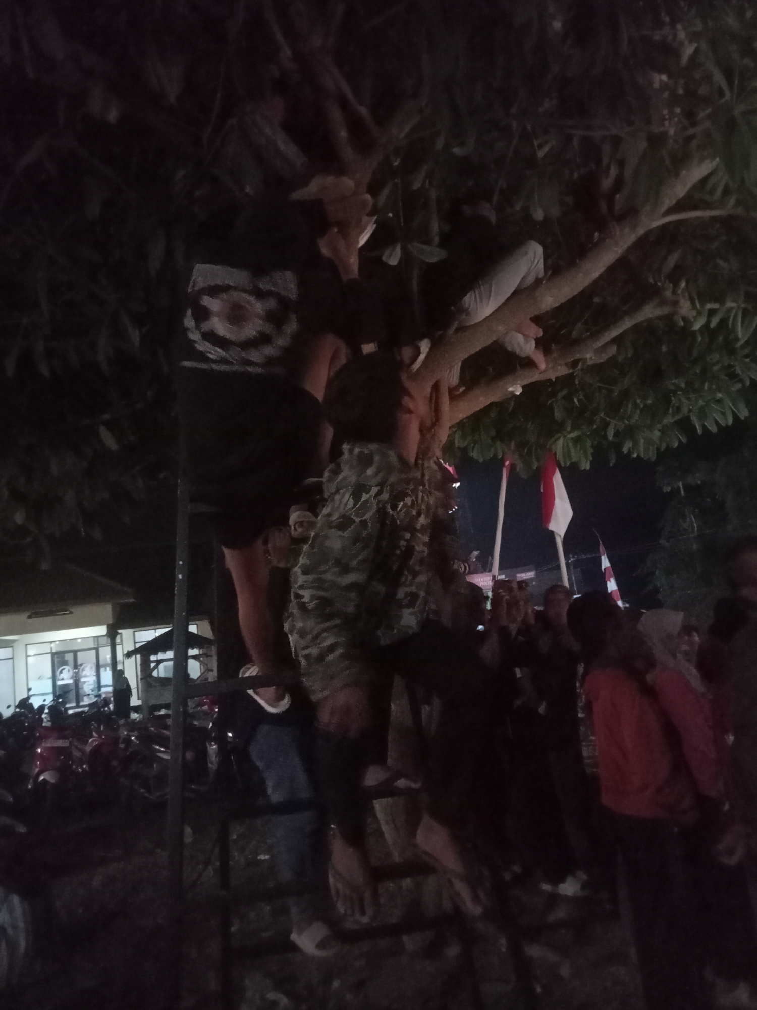 In Pule, Indonesia, a nighttime scene unfolds with several individuals positioned on and around a tree. One person is perched high on a branch, wearing a camouflage jacket and dark pants. Another person, clad in black shorts and a shirt with a white emblem, is also on a branch. A third individual, wearing a black and white patterned top and light-colored pants, is also in the tree. Below, a ladder structure is visible, suggesting a means of access. A crowd of onlookers is gathered at the base of the tree, some holding flags, including Indonesian flags. The background shows a building with lights on and a parking area filled with motorcycles, indicating an urban or semi-urban environment. The overall atmosphere appears to be one of observation or a gathering, possibly a celebration or event.