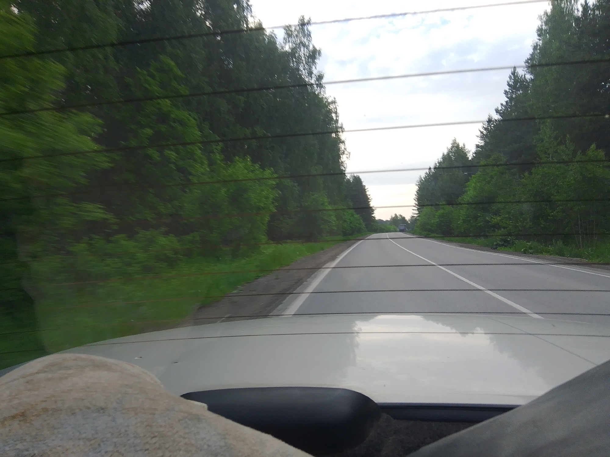 The image shows a view from inside a vehicle looking out through the rear windshield. The windshield has horizontal defroster lines. The scene outside is a paved road with two lanes, separated by white lines, curving to the right and disappearing into the distance. On both sides of the road, there are dense trees and foliage. The sky above is overcast with some lighter areas. In the foreground, the hood of the vehicle is visible, along with a textured object, possibly a blanket or a piece of upholstery. The overall impression is of a drive through a rural or forested area, likely in Russia given the location specified. There are no people visible in the image. The scene appears to be captured during the daytime, possibly late afternoon or early morning due to the soft lighting.