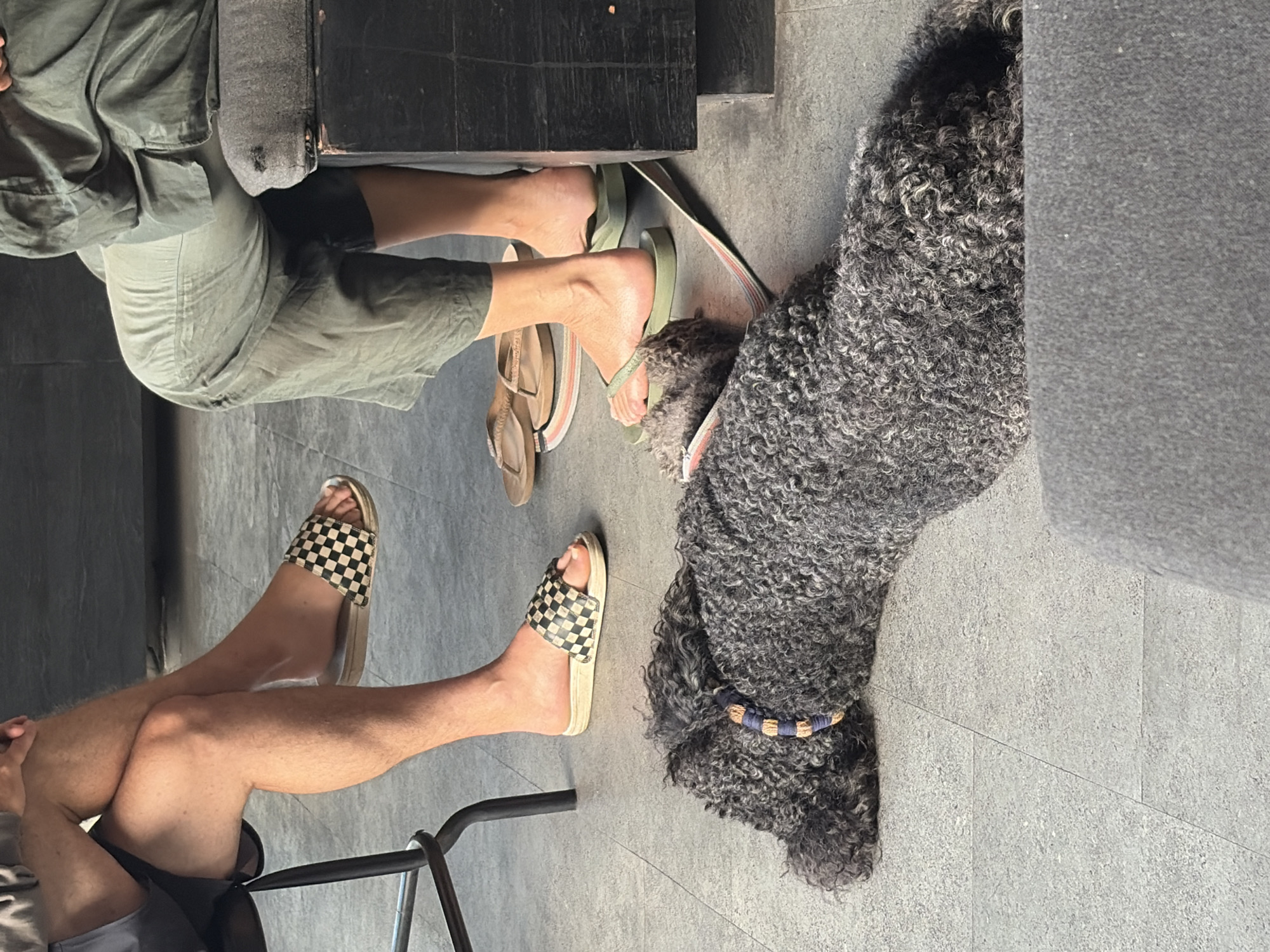 In a city cafe in North Kuta, Indonesia, a dark-haired poodle lies on the floor, resting its head on its paws. The dog wears a blue and orange collar. In the background, two people are seated. One person, wearing dark shorts and a light-colored t-shirt, sits with their legs crossed, revealing a black and white checkered slide sandal. The other person, dressed in olive-green trousers, is seated to the right, with their feet in light green slide sandals. Two pairs of tan flip-flops are also visible near the seated individuals. The cafe's flooring is tiled with large, gray squares.