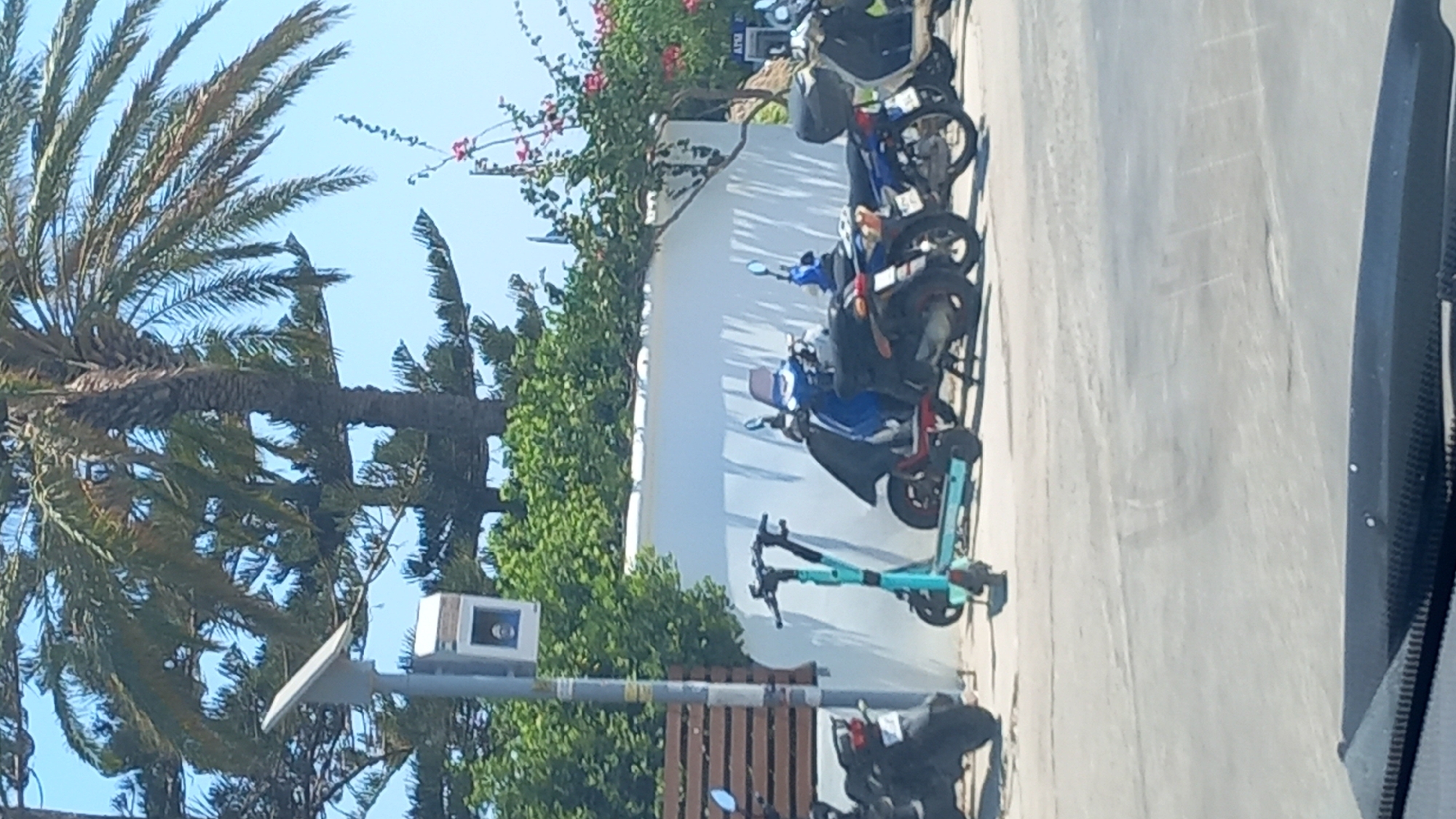 An outdoor, daytime, eye-level shot captures a scene on the island of Kos, Greece, likely along a street or walkway near a coastal area, as suggested by the palm trees and bright sunlight. In the foreground, a black dash of a car is visible, indicating the photo was taken from inside a vehicle. The middle ground features a paved surface where several parked vehicles are situated. Closest to the viewer on the left is a black motorcycle. To its right, a bright turquoise electric scooter stands upright. Behind the scooter, a row of other scooters and motorcycles are parked. One scooter is red and black, another is blue, and further down the line are more dark-colored motorcycles. A white wall forms the backdrop for these parked vehicles, with a wooden fence visible on the left side of the image. Overhead, lush green foliage, including palm trees and other leafy trees, creates a natural canopy. A solar-powered lamppost with a security camera mounted on it stands prominently on the left side of the frame, near the wooden fence. The sky is clear and blue.