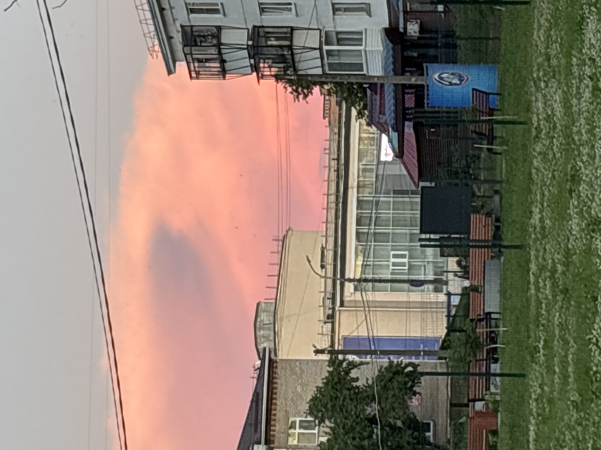 The image depicts an outdoor scene in the city of Chaikovsky, Russia, likely during the late afternoon or early evening given the vibrant pink hues of the sky. In the foreground, a grassy area with scattered white flowers is visible, with a few dark green metal posts and wires extending upwards, possibly part of a fence or park infrastructure. Several wooden benches with dark slatted seats and backs are arranged in rows, some partially obscured by the green posts. A red trash receptacle is located to the far left.
Behind the benches and grassy area, there is a dark fence. Beyond the fence, a series of buildings and structures are present. To the left, a multi-story building with a brick facade and white-framed windows is partially visible. Adjacent to it is a lighter colored building with a flat roof and what appears to be a large glass-fronted section, possibly a commercial establishment or public building. A street lamp is situated between these two buildings.
Further to the right, a multi-story residential building with balconies is prominent. The balconies are enclosed with glass and metal framing. The sky above is dominated by a dramatic pink cloud formation, suggesting a sunset or sunrise. There are also two thin dark horizontal lines stretching across the upper portion of the image, which are likely power lines.
In the middle ground, between the residential building and the brick facade building, there are some smaller structures with dark tiled roofs. One of these structures has a blue cylindrical object with a circular emblem on it. The overall impression is an urban or semi-urban environment with a mix of residential and commercial buildings, set against a visually striking sky. There are no visible people in the image.