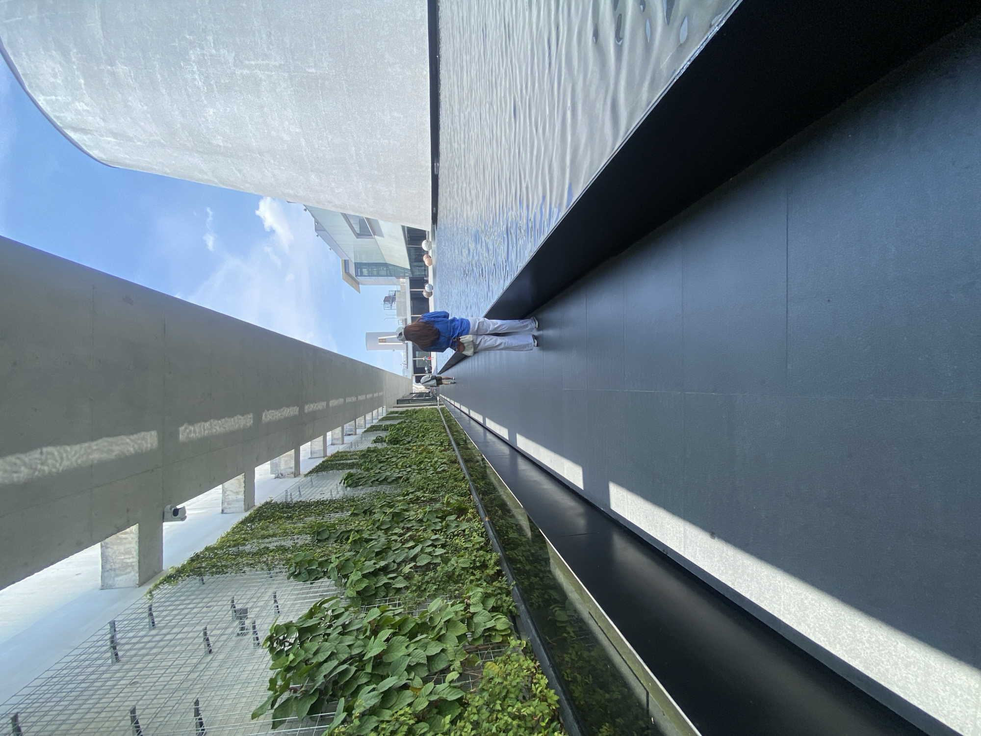A young woman with long, light brown hair, wearing a blue sweater and white pants, stands on a dark gray tiled walkway with a small, white handbag slung over her shoulder. She is facing towards buildings in the distance under a blue sky. To the left of the walkway is a structure covered in green plants. To the right, a water feature with ripples on its surface extends into a black-edged basin. The location is the Siam Paragon shopping mall in Bangkok, Thailand.
