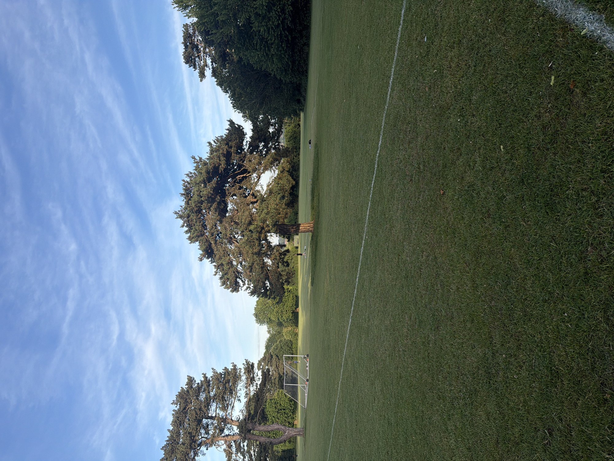 This image depicts an outdoor park or recreational ground located in Maidstone, United Kingdom. The scene is illuminated by daylight, suggesting either early morning or late afternoon, characterized by soft light and visible shadows.
The upper portion of the frame features a clear, light blue sky with scattered, wispy white cirrus clouds. The ground consists of a large expanse of green grass, indicative of a well-maintained field. A distinct white line, typically found on a sports pitch, stretches horizontally across the lower-midground. A partial white corner marking is visible at the bottom-right edge.
Several mature trees are prominent features. A large conifer, likely a Scots Pine, stands on the left side of the frame. Another large conifer is centrally located, with its trunk catching direct sunlight. A third large conifer is visible on the right side. In the background, a dense treeline composed of mixed deciduous and coniferous trees marks the perimeter of the field.
In the midground, a white metal football goal with a net is positioned to the left. Near the base of this goal, several orange and white footballs are visible, along with a few small orange training cones.
Three human figures are present on the field. One small, distant figure is faintly discernible in the far left background, near the leftmost tree. A second figure is standing near the base of the large central tree. A third figure, wearing dark clothing, is observed in a stooped or bending position in the mid-right area of the field. The specific activities of the individuals are not definitively clear from the distance and resolution, but the presence of sports equipment suggests preparation for or engagement in a game or practice. No buildings or distinct urban structures are visible within the frame.