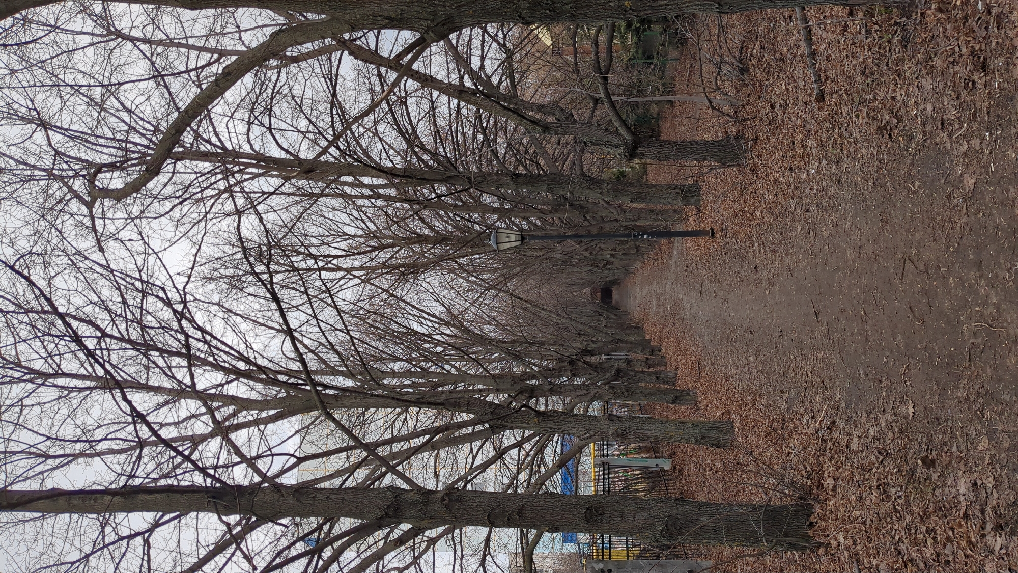 The image depicts a long, straight path lined with tall, leafless trees in Ulyanovsk, Russia. The ground is covered with fallen leaves. A row of evenly spaced lampposts run along the path. A fence is visible near the bottom of the frame. The sky is overcast.