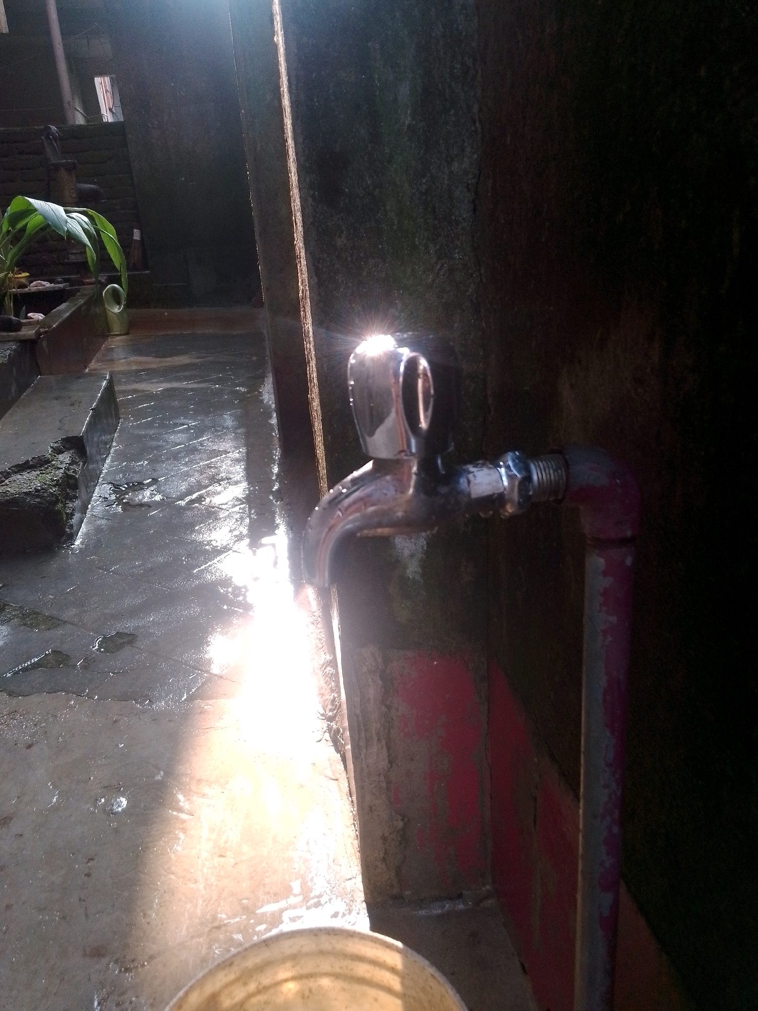 This image depicts an outdoor scene, likely in Siliguri, India, characterized by a bright, direct sunlight casting strong highlights and shadows. The foreground features a metallic faucet connected to a pinkish-grey pipe, with water droplets visible on the faucet. To the left, a wet concrete floor reflects the sunlight, showing puddles and a textured surface. A dark, damp wall dominates the background. In the upper left corner, some greenery from a plant is visible, along with what appears to be a makeshift channel or drain and possibly some discarded items. The overall impression is of a utilitarian outdoor space, possibly a yard or a service area, experiencing a bright sunny day.