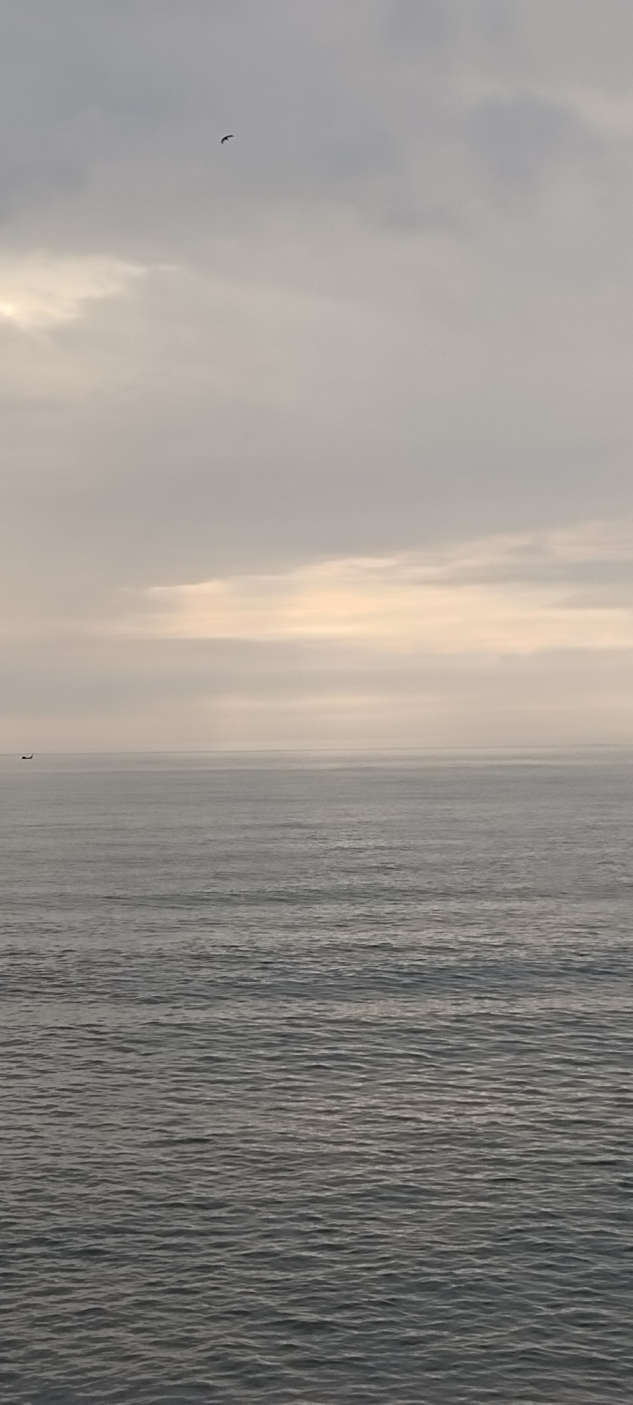The image shows a vast expanse of calm ocean under a cloudy sky. A small boat is visible on the horizon to the left. In the upper portion of the sky, a bird is flying. The lighting suggests either early morning or late evening. The scene is devoid of any identifiable landmarks that would specifically place it in Lhokseumawe, Indonesia.