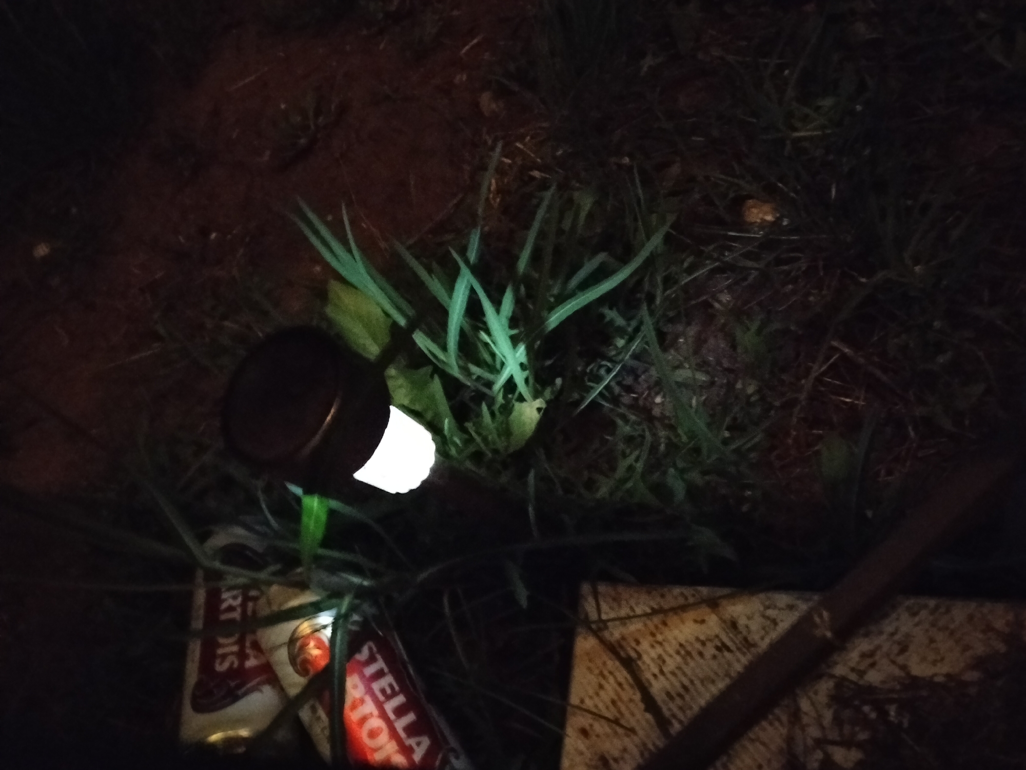 In Ivancea, Moldova, an outdoor scene is captured at night, illuminated by a small portable light source. The ground is covered in grass and soil, with some leaves and debris scattered around. In the foreground, two beer cans are visible, one with a label that appears to read "Stella Artois". To the left of the cans, the portable light is positioned, emitting a bright white light. The light source itself is dark and cylindrical in shape. The background is dark and indistinct, suggesting the presence of trees or other foliage. The overall impression is one of a casual, perhaps discarded, setup in a natural outdoor environment.