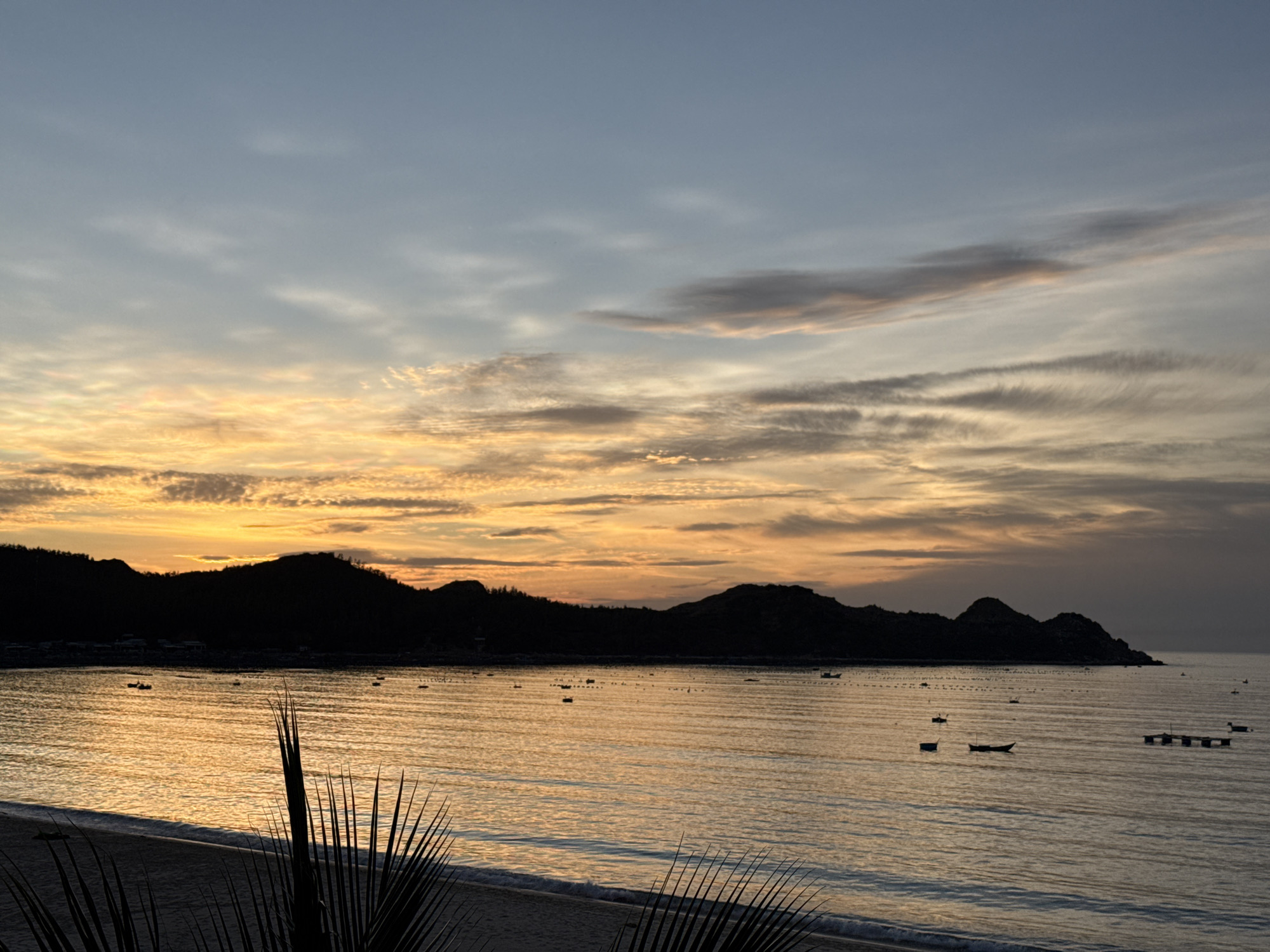 A wide-angle, horizontal photograph captures a serene sunset over the ocean in Song Cau, Vietnam. The sky is a gradient of soft blues at the top, transitioning through warm oranges and yellows, with streaks of thin, wispy clouds. The sun is not directly visible, but its light illuminates the water, creating a shimmering golden reflection.
In the foreground, the dark silhouette of palm fronds frames the bottom left of the image, with a sandy beach and gentle waves visible at the waterline. The middle ground is dominated by the calm sea, dotted with numerous small, dark fishing boats. Some are moored, while others appear to be anchored. A few floating structures, possibly part of a fish farm or aquaculture, are also present on the water.
The background features a silhouetted mountain range stretching across the horizon, with a small cluster of buildings visible near the base of the mountains on the left side. The overall atmosphere is tranquil and peaceful, indicative of a quiet evening by the sea. There are no visible people in the image.