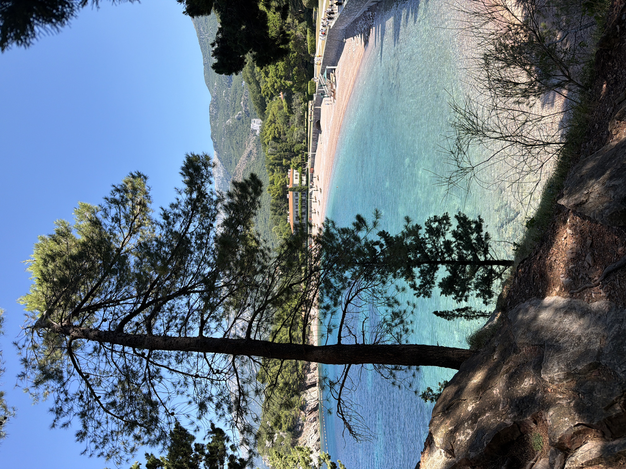 The image depicts a scenic view of a resort beach in Sveti Stefan, Montenegro. In the foreground, a large pine tree dominates the left side of the frame, casting shadows on a rocky, wooded embankment. The middle ground showcases a crescent-shaped beach with pinkish sand, lined by beach chairs and umbrellas. A stone wall with a walkway runs along the edge of the beach, where several people are seen strolling and observing the view. The turquoise waters of the Adriatic Sea gently lap the shore, appearing clear and inviting. In the background, lush green hills rise up, dotted with trees and some buildings, including a large hotel with orange-tiled roofs. The sky is a clear, bright blue, indicating a sunny day.