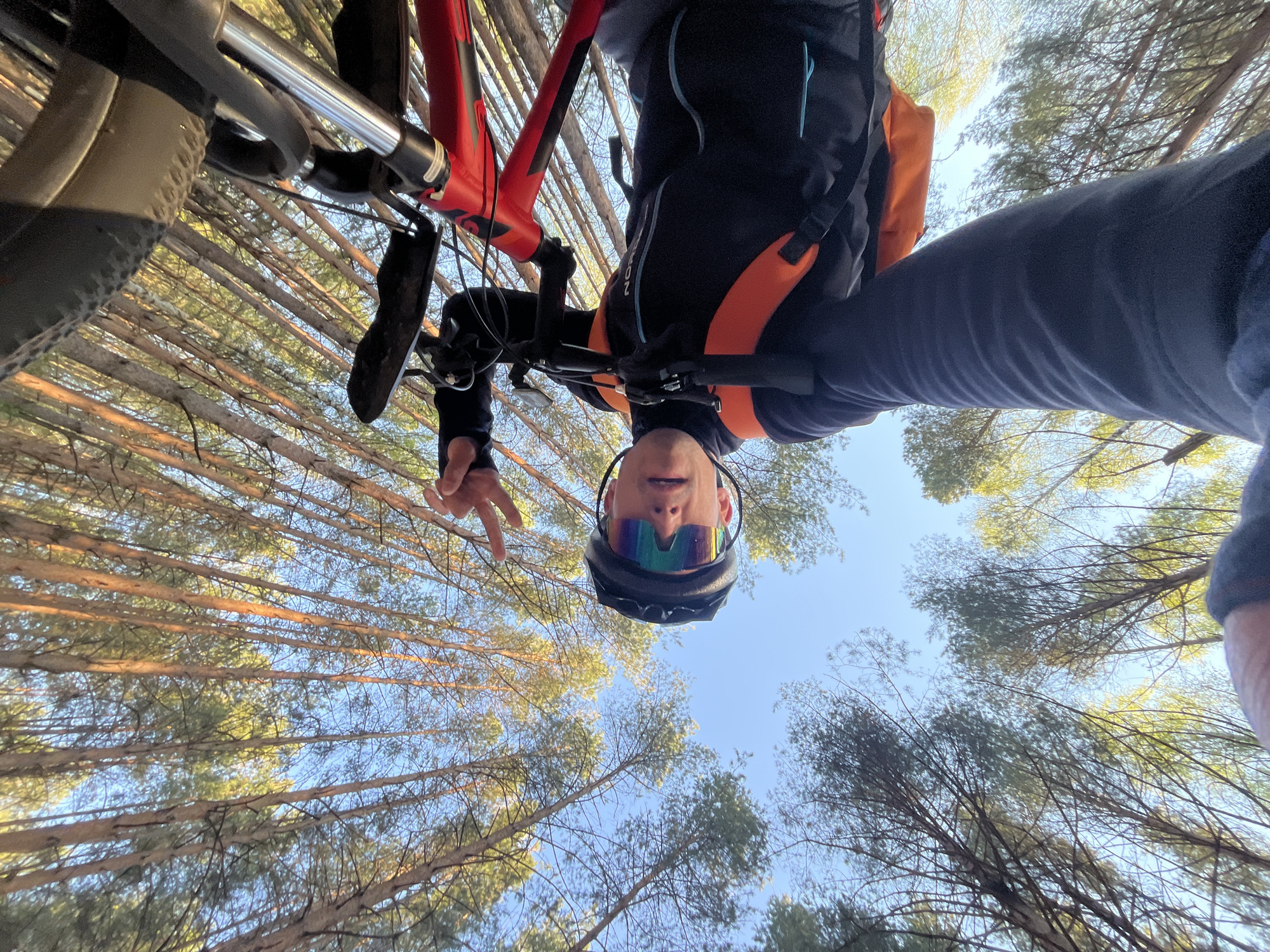 A person is photographed from a low angle, upside down, with a mountain bike above them. They are wearing a helmet and sunglasses, and make a peace sign with one hand. They are wearing a black and orange jacket and dark pants. The bicycle frame is red. The background consists of tall pine trees reaching towards the sky. The photograph was taken in a forest in Chaikovsky, Russia.
