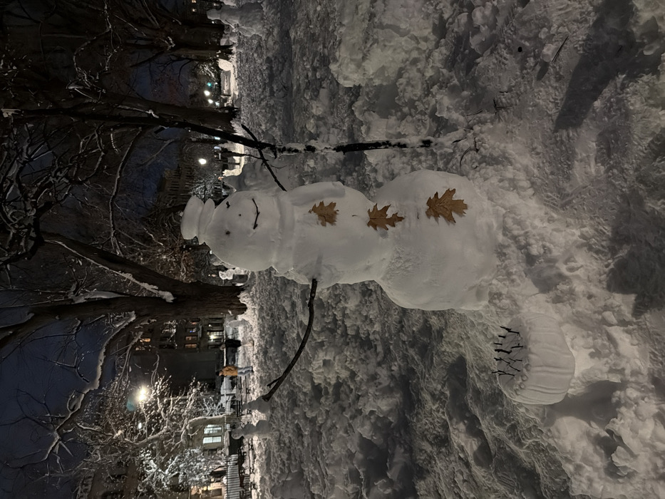 A snowman with three sections stands in a snow-covered park near a street at dusk. The snowman's head has a small hat, and it features twig arms and leaves for buttons. Behind the snowman, buildings and trees are illuminated by streetlights. The foreground snow exhibits various textures and depths, suggesting heavy snowfall. The image appears to be taken at an angle, making the snowman look almost horizontal in the frame.
