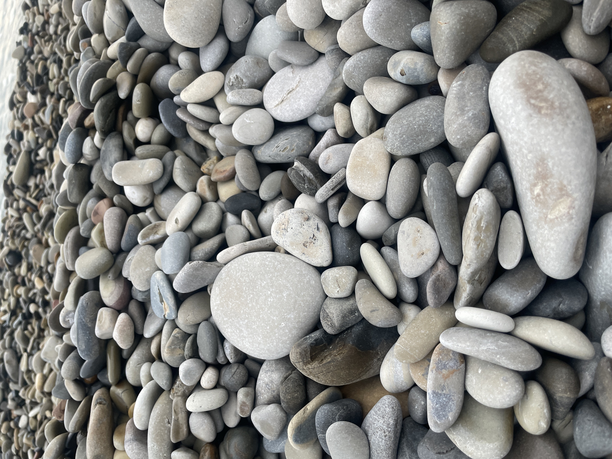 The image shows a close-up view of a pebble beach in Olginka, Russia. The pebbles are mostly gray and white, smooth and rounded, varying in size from small to relatively large. They are densely packed together, with no visible gaps. The leftmost edge of the image reveals a strip of smaller, finer gravel. The overall impression is one of texture and a natural, inorganic composition.