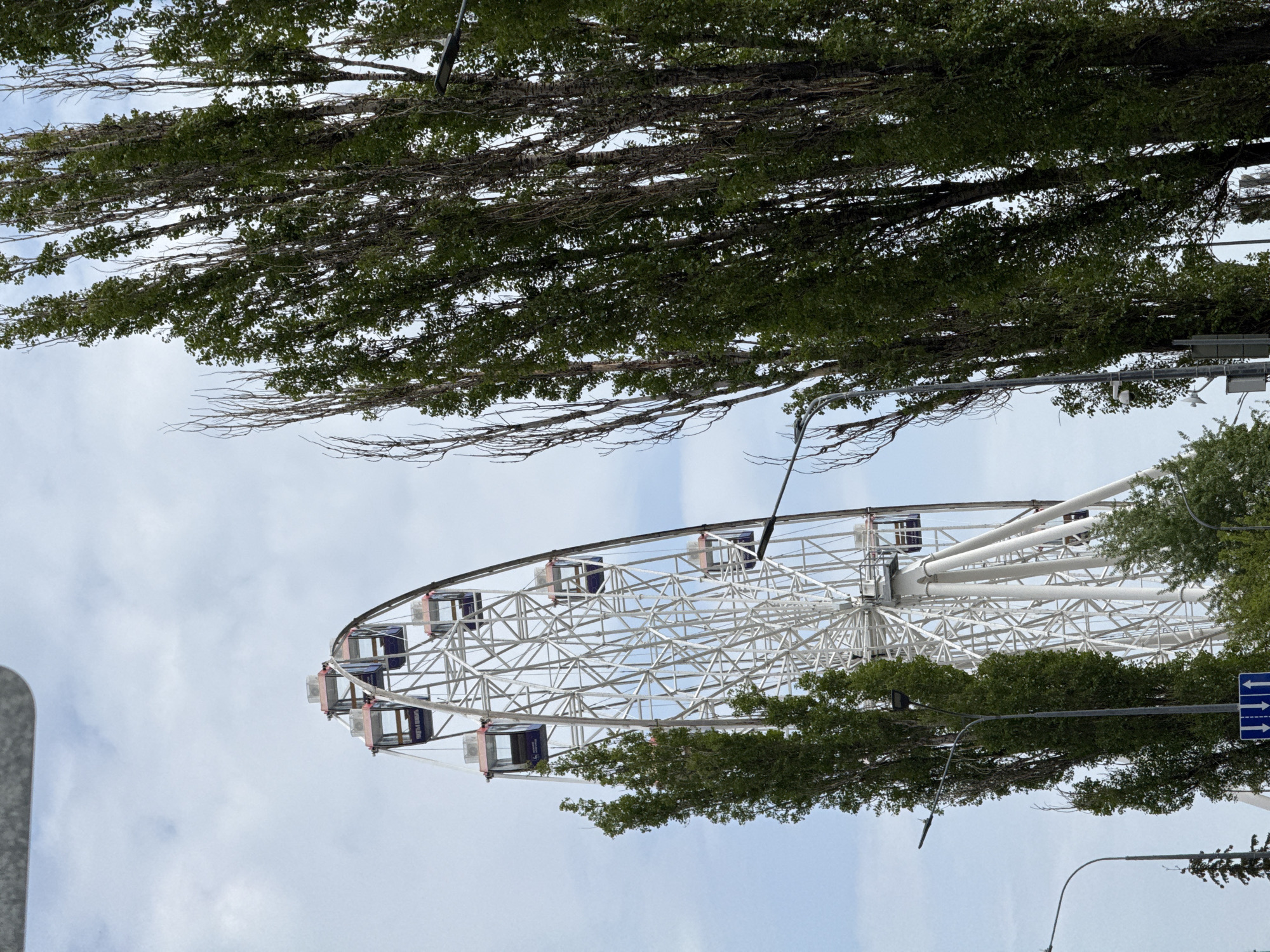 The image depicts a Ferris wheel, partially obscured by trees, against a cloudy sky. The Ferris wheel is white with enclosed cabins. Trees with green foliage line the top and right side of the frame. A blue street sign with white arrows is visible on the right. The image is from Nizhny Novgorod, Russia.