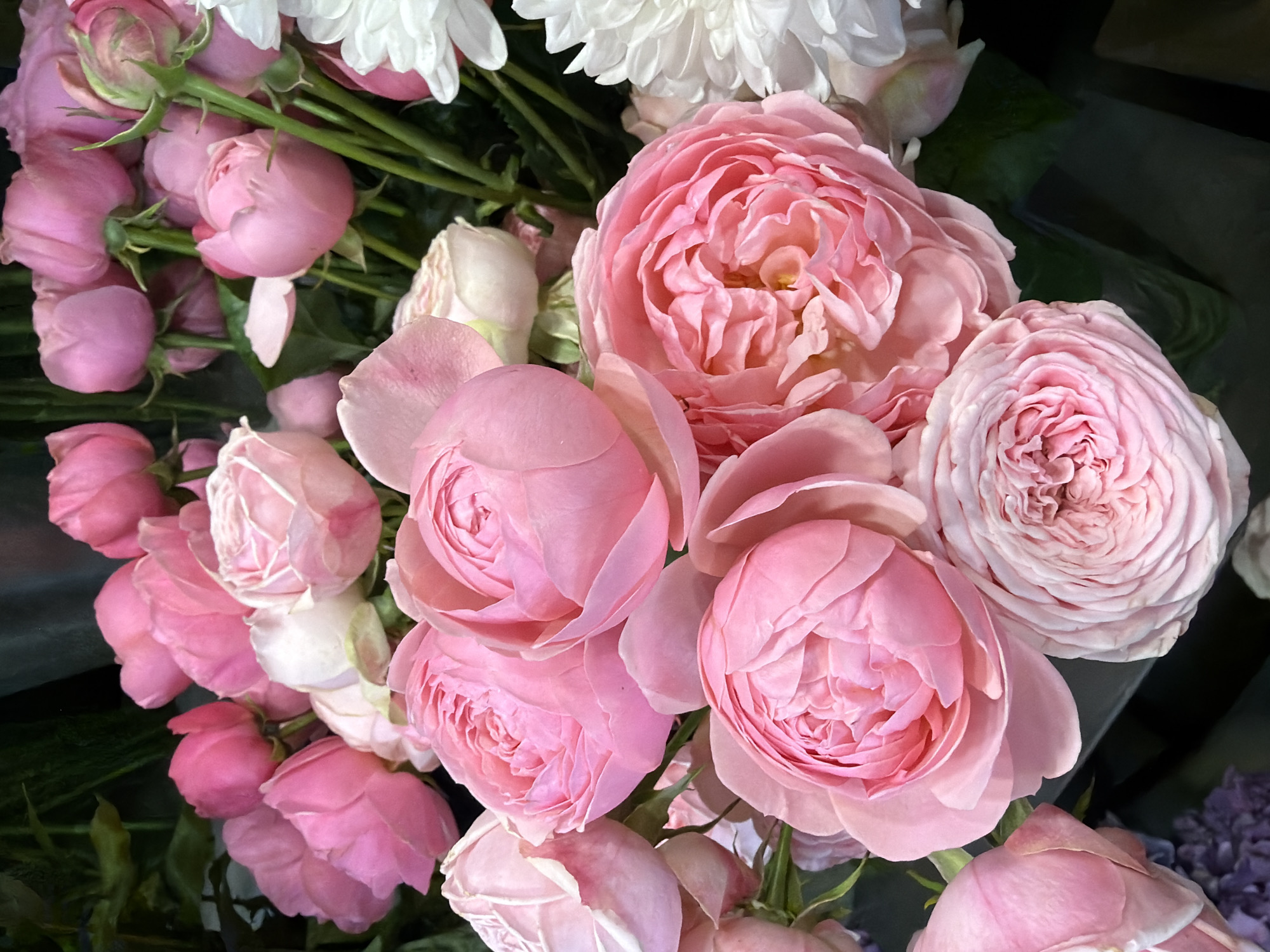 A close-up, top-down shot showcases a lush bouquet of pink roses and other flowers. The roses are predominantly a soft blush pink, with some appearing as tight buds and others fully bloomed with layers of delicate petals. Several white, chrysanthemum-like flowers are interspersed among the roses, adding a contrasting texture and color. The background is a dark, out-of-focus green, suggesting foliage. The lighting is soft, highlighting the textures and subtle color variations of the flowers. The arrangement appears to be in a vase or container, hinted at by the dark, reflective surface visible at the bottom of the frame. There are no people or animals present in the scene, and no discernible location within a city is apparent.