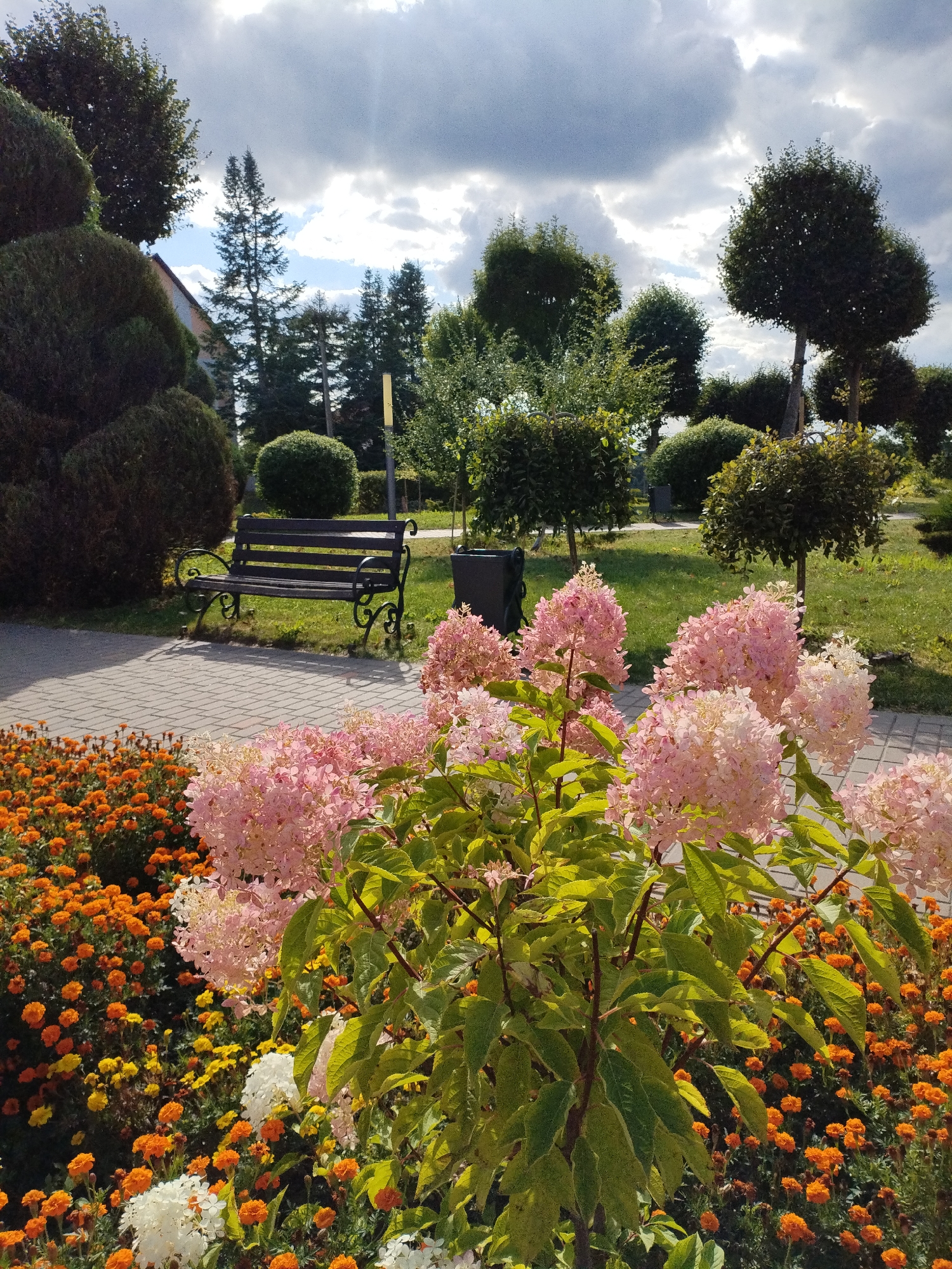 In the city of Bialynichy, Belarus, a park scene unfolds under a partly cloudy sky. In the foreground, a cluster of pink hydrangeas in full bloom dominates the right side of the frame, their large flower heads catching the sunlight. To the left, a dense bed of vibrant orange marigolds, with touches of yellow and white flowers interspersed, creates a colorful border.
Behind the flowers, a paved walkway made of grey interlocking pavers leads the eye towards the background. A black metal park bench with ornate legs sits on a grassy area to the left of the walkway, offering a place to rest. Behind the bench, a dark trash receptacle is visible.
The middle ground of the park features a variety of meticulously sculpted trees and bushes. These include large, rounded evergreen bushes, cone-shaped trees, and trees with spherical canopies atop slender trunks. In the far background, more trees, including tall evergreens, are visible, along with the side of a building with a light-colored facade. The overall impression is one of a well-maintained public park, designed for leisurely enjoyment of nature.