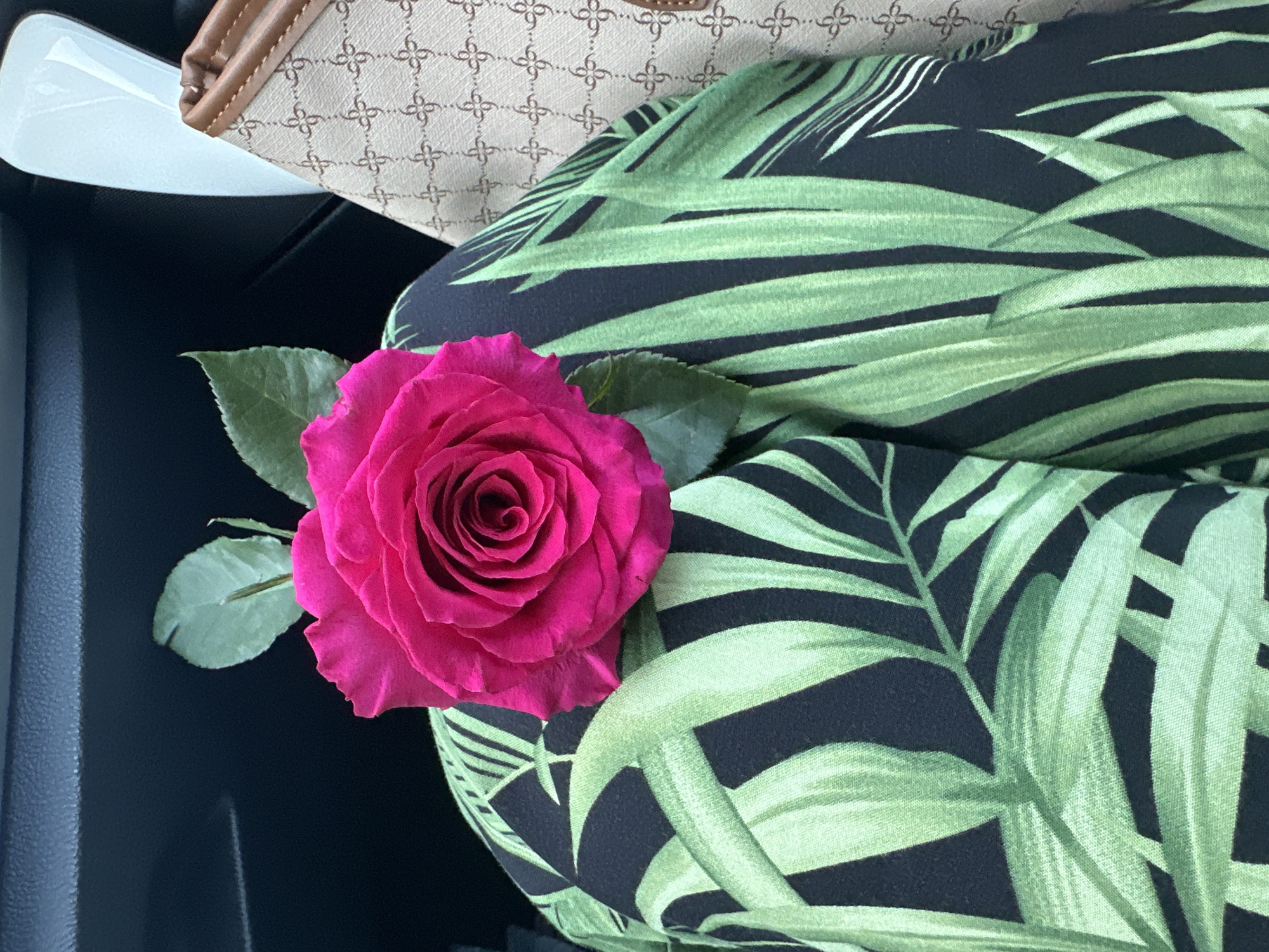 A close-up shot features a vibrant pink rose resting on a person's lap, which is covered by black fabric with a bold green palm leaf pattern. The rose is lush and fully bloomed, with delicate petals unfurling from its center. To the right of the rose, a tan purse with a subtle patterned design and brown trim is partially visible, suggesting the person might be in a vehicle or public transport. The background is dark and out of focus, hinting at an interior setting, possibly a car. The image does not provide enough visual information to determine a specific location in Sofia, Bulgaria, or any actions beyond the static arrangement of the objects.
