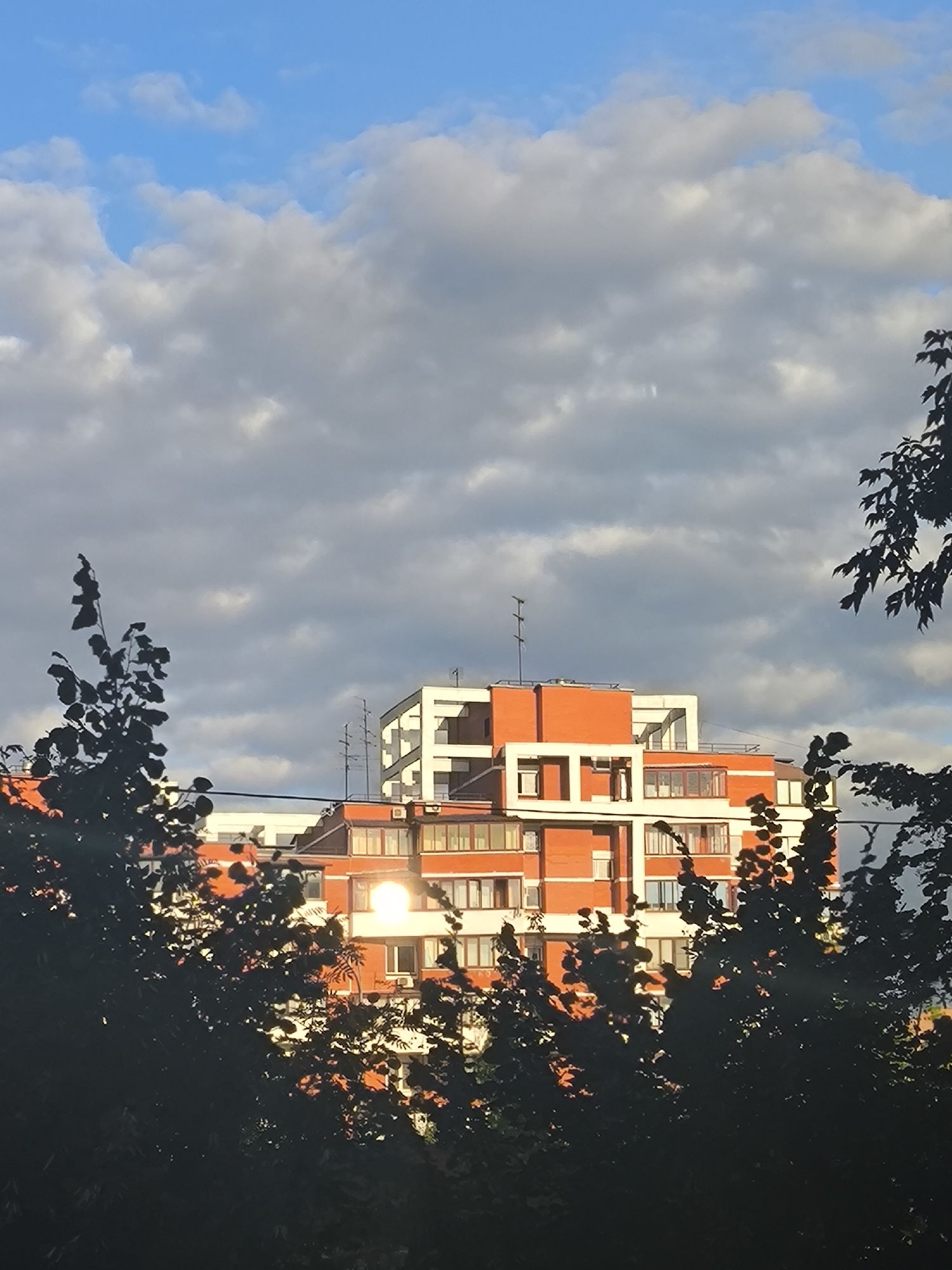 The image shows a modern orange and white apartment building, partially obscured by the dark silhouettes of trees in the foreground. The building has multiple stories with numerous windows and some protruding balconies. A bright sun reflection is visible on one of the building's windows. The sky above is blue with scattered white and gray clouds. The scene appears to be a residential area in Khimki, Russia, likely during daylight hours given the sunlight.