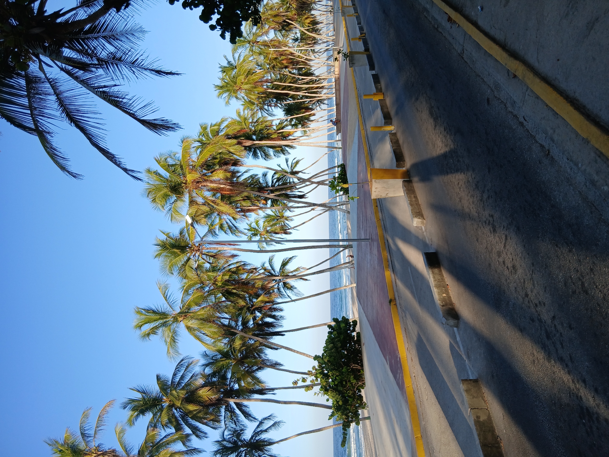 The image shows a street in Playa El Agua, Venezuela, lined with palm trees along the beach. The sky is clear and blue. The street is paved with a yellow line marking the edge. The beach is visible between the palm trees. There are no people visible in the image.