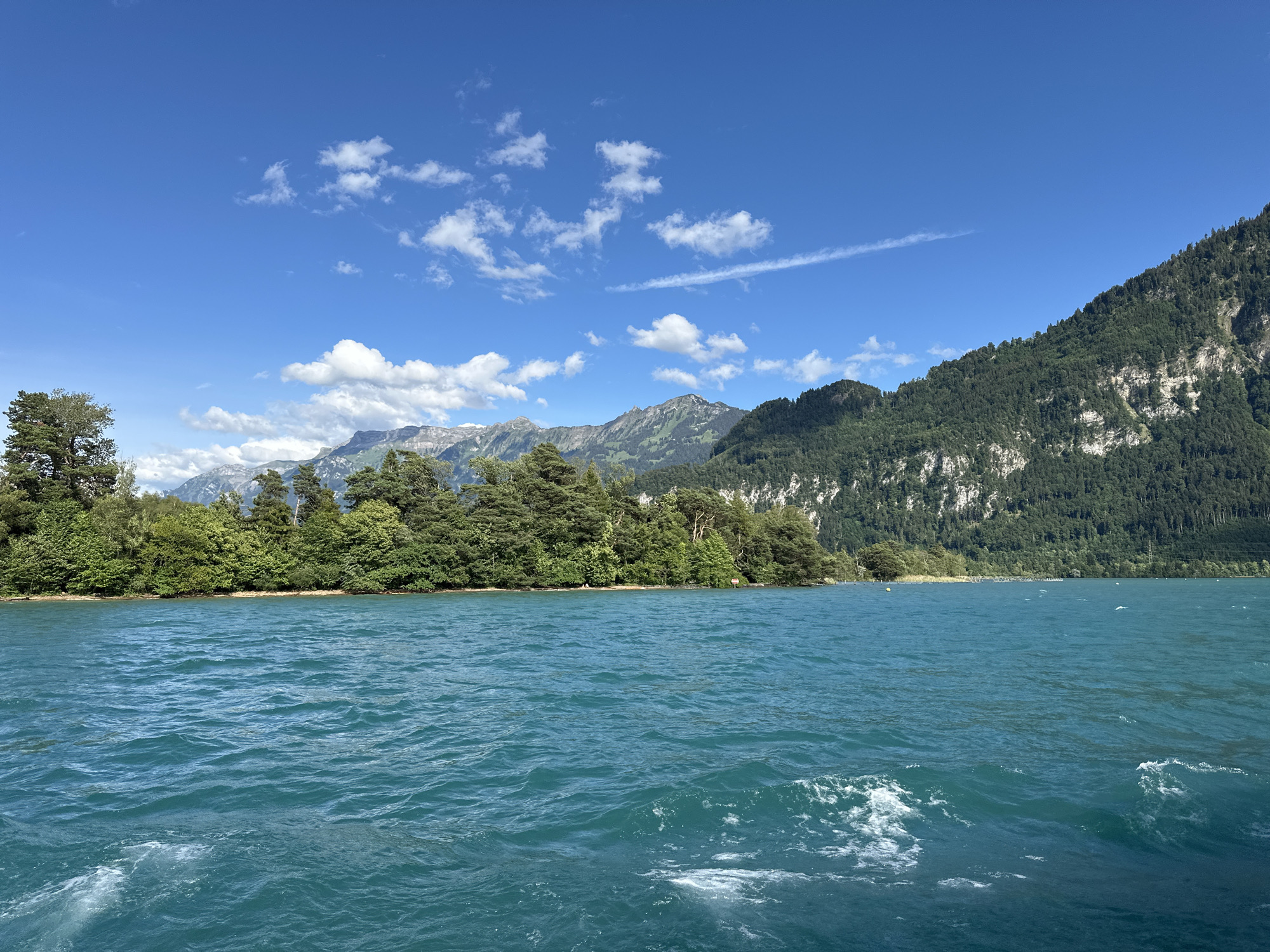 The image shows a wide, vibrant blue lake with small waves, under a clear blue sky with scattered white clouds. On the far side of the lake, a lush green tree line borders the water, followed by a steep, forested mountainside. The mountains are covered in dense green trees, with rocky outcrops visible in places. In the distance, hazy mountain peaks can be seen under the bright sky. The scene is likely a natural landscape view in or around Unterseen, Switzerland, known for its beautiful lakes and mountainous terrain. There are no people or specific structures visible in the image, focusing entirely on the natural scenery.