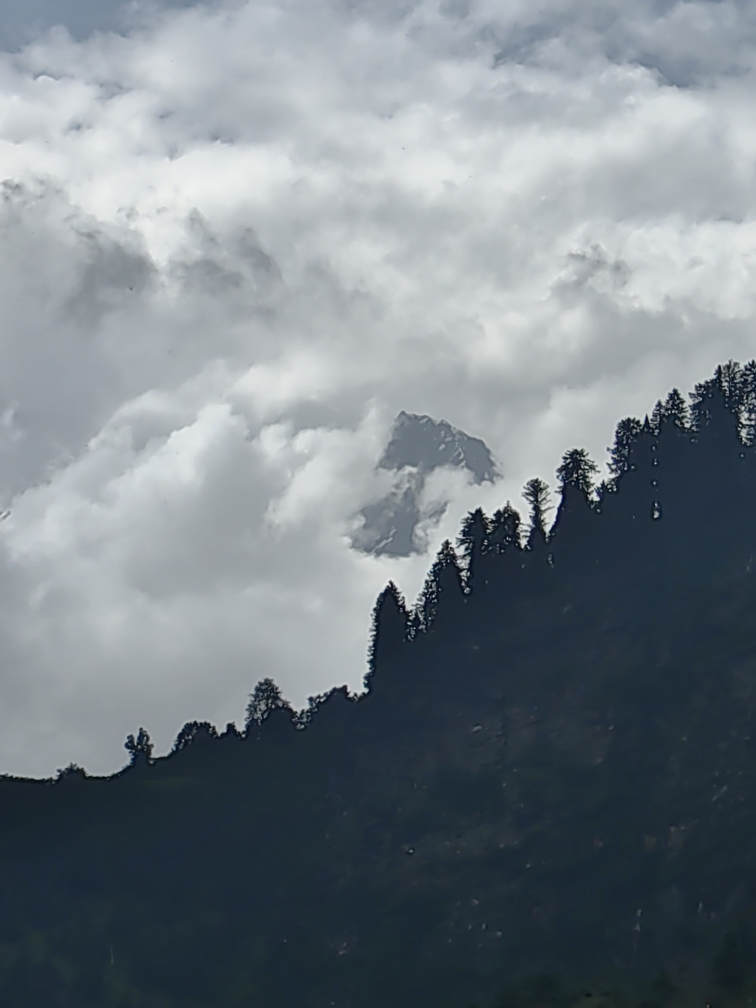 The image depicts a mountainous landscape partially obscured by clouds. A silhouette of a dense evergreen forest lines the lower right portion of the frame, its jagged edge creating a stark contrast against the sky. In the distance, a snow-capped mountain peak emerges from the clouds, its rugged contours visible. The sky is filled with a mix of light and dark gray clouds, suggesting overcast conditions. The location is identified as Kulang, India.