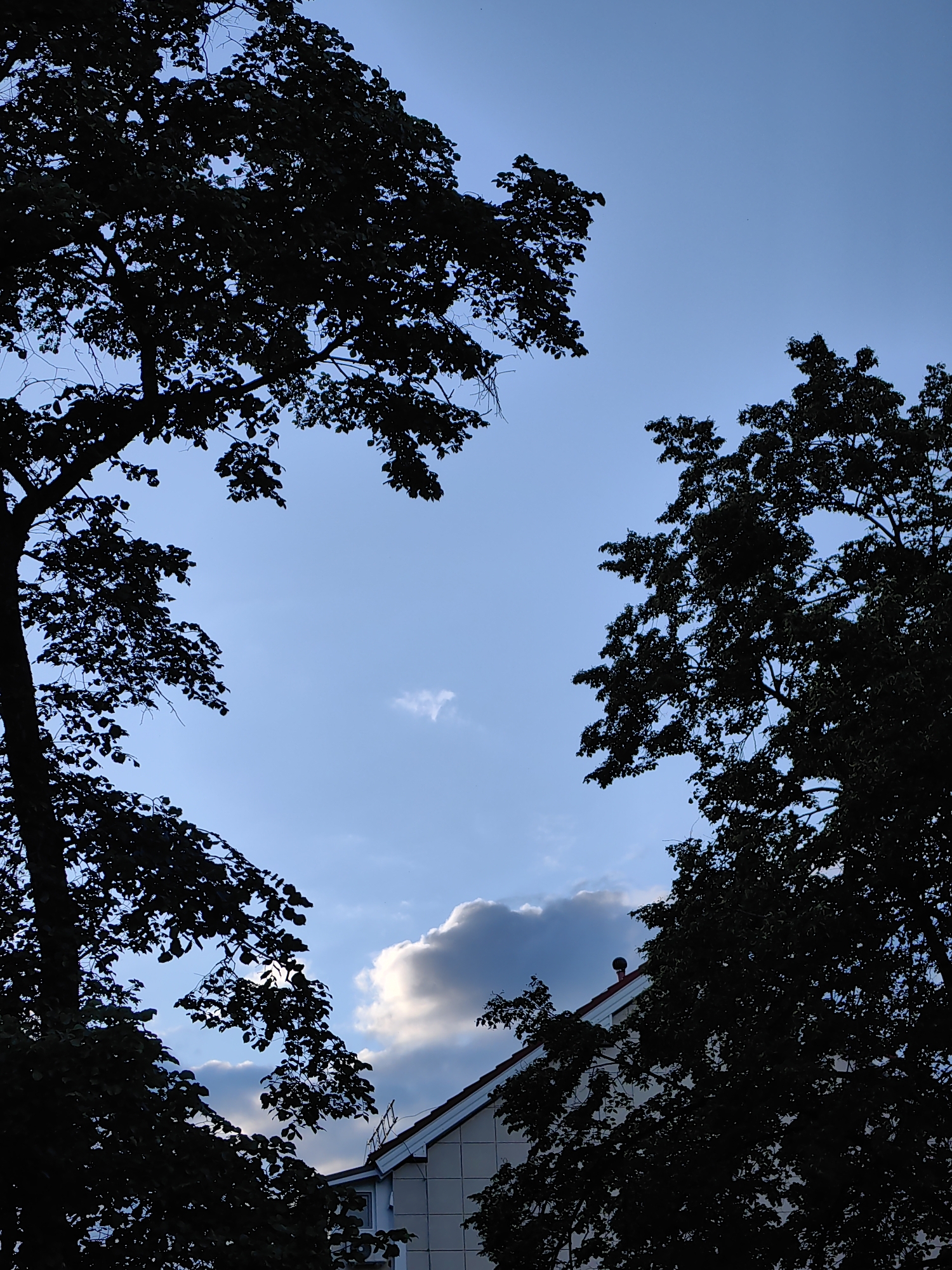 The image depicts a low-angle view of the sky framed by silhouetted trees, taken in Chaikovsky, Russia. The sky is predominantly blue with some cloud cover near the bottom of the frame. A light-colored building is partially visible at the bottom right, with a sloped roof and visible exterior details. The trees are silhouetted against the sky, obscuring detail.