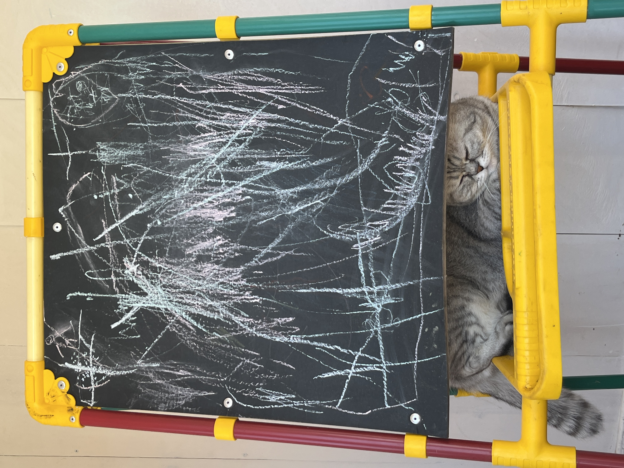 A gray tabby cat is squeezed into a space between a chalkboard and a yellow plastic play structure. The chalkboard is covered in white chalk scribbles. The play structure has red and green horizontal bars. The cat's eyes are closed, and it appears to be resting or sleeping. The background is a light-colored wall or floor. The image was taken in the city of Chaikovsky, Russia.