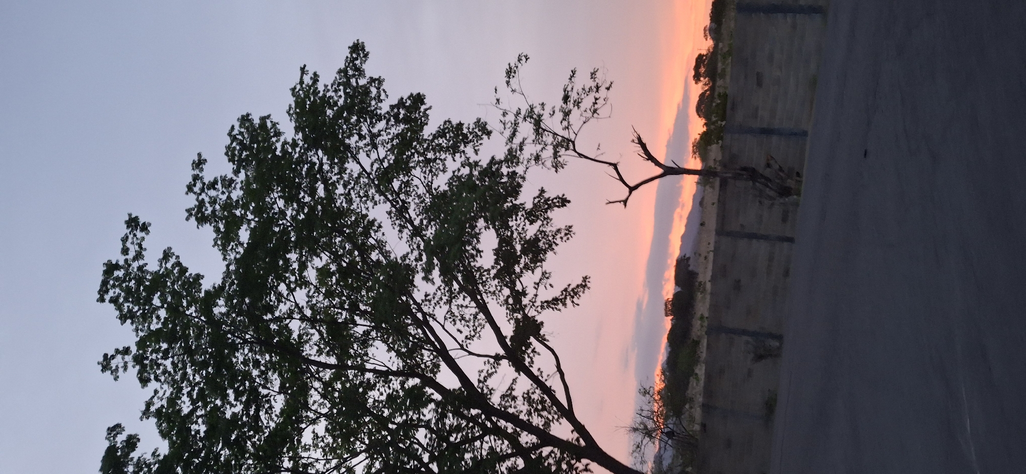 The image captures a landscape at what appears to be dusk or dawn, as evidenced by the gradation of color in the sky from pale blue/purple to orange/pink. A large, leafy tree is prominent on the left side, with its branches and leaves silhouetted against the sky. To the right, there is a smaller, more sparse tree with fewer leaves. In the background, a strip of land is visible, with hints of vegetation and a structure that could be a fence or building. The foreground shows a dark surface, possibly a road or paved area. The location is Tinaquillo, Venezuela. The scene is devoid of people or direct interactions. The environmental conditions suggest a peaceful, quiet moment in time.