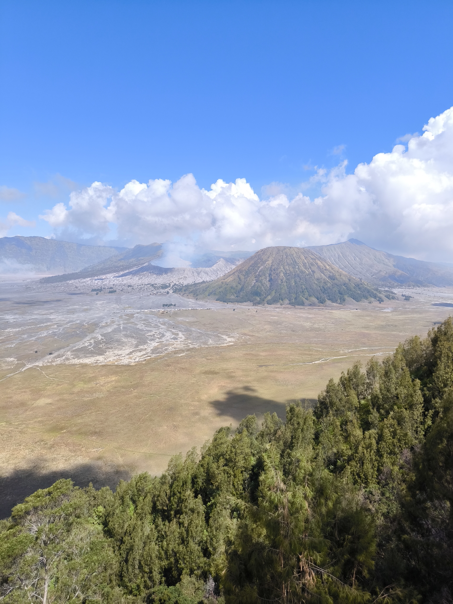 This is a scenic photograph of a volcanic landscape under a bright blue sky with scattered white clouds. The foreground is dominated by a dense cluster of green trees, some of which cast shadows onto a dry, grassy plain in the middle ground. In the distance, a large volcanic crater emits a plume of smoke. Other mountains and hills form the backdrop, with varying shades of green and grey. The terrain appears arid and expansive, with a winding path visible on the plain. The lighting suggests it is daytime, possibly late morning or early afternoon, with clear weather conditions. The overall mood is one of natural grandeur and geological activity. No text is visible in the image.