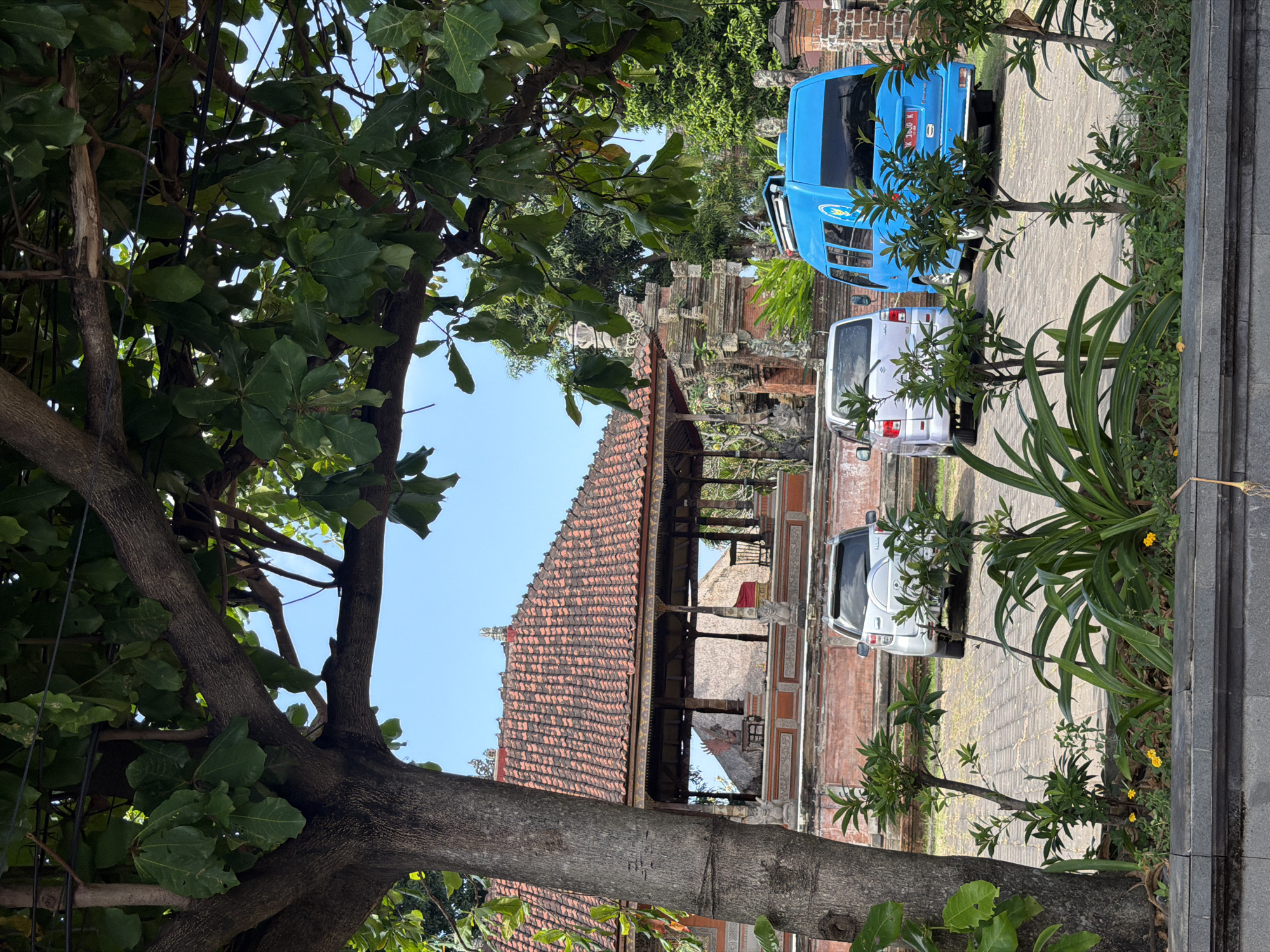 In Blahbatuh, Indonesia, a tree with a thick trunk and green leaves partially obscures a view of a traditional Balinese building with a red tiled roof. In front of the building, three vehicles are parked: a white SUV, a silver minivan, and a bright blue van. A low stone wall with a bed of plants and small yellow flowers runs along the foreground, separating the viewer from the parking area and the building. The sky is clear and blue.