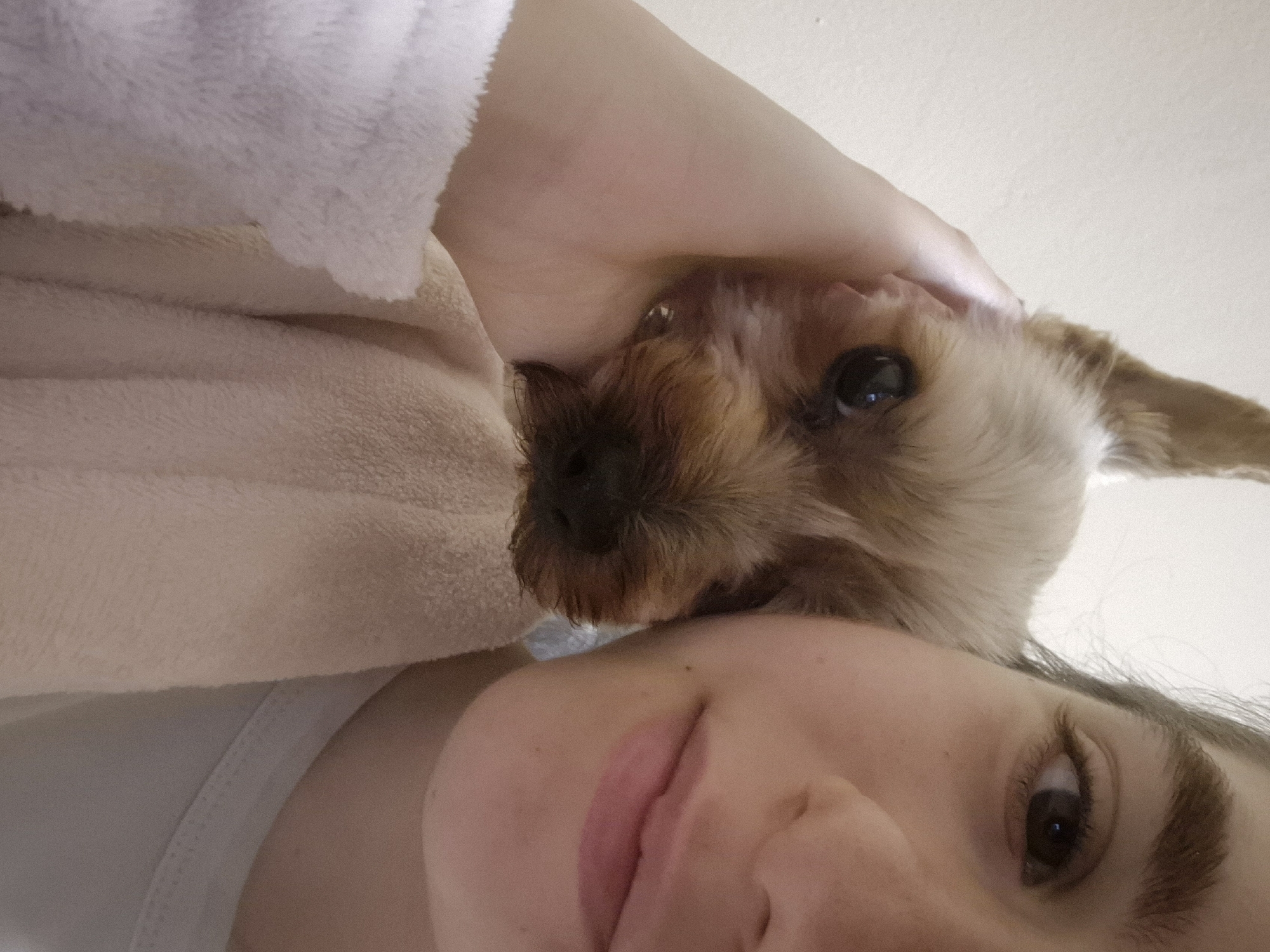 An intimate, close-up shot captured from a low angle shows a person and a small dog cuddling or resting together. The image is oriented such that the person's face occupies the bottom right portion, with their left eye, nose, and mouth visible, suggesting a slight, soft smile. Their fair skin and dark brown eyebrows are noticeable.
The small dog, likely a Yorkshire Terrier or similar breed, with fluffy brown and tan fur, has its head positioned near the person's shoulder or neck area, partially obscuring the person's right side. The dog's dark eyes are visible, looking towards the camera.
A light-colored, fluffy fabric, possibly a blanket or soft robe, covers part of the upper left side of the frame, providing a comfortable backdrop for the subjects. Another lighter, smoother fabric can be seen underneath this fluffy layer. The background is a plain, light, almost white surface, suggesting an indoor setting like a wall or ceiling. The scene evokes a feeling of warmth, affection, and peaceful companionship between the human and their pet. No specific time of day or location cues for Pavlikeni, Bulgaria, are visible, beyond the domestic setting. There is no visible text.