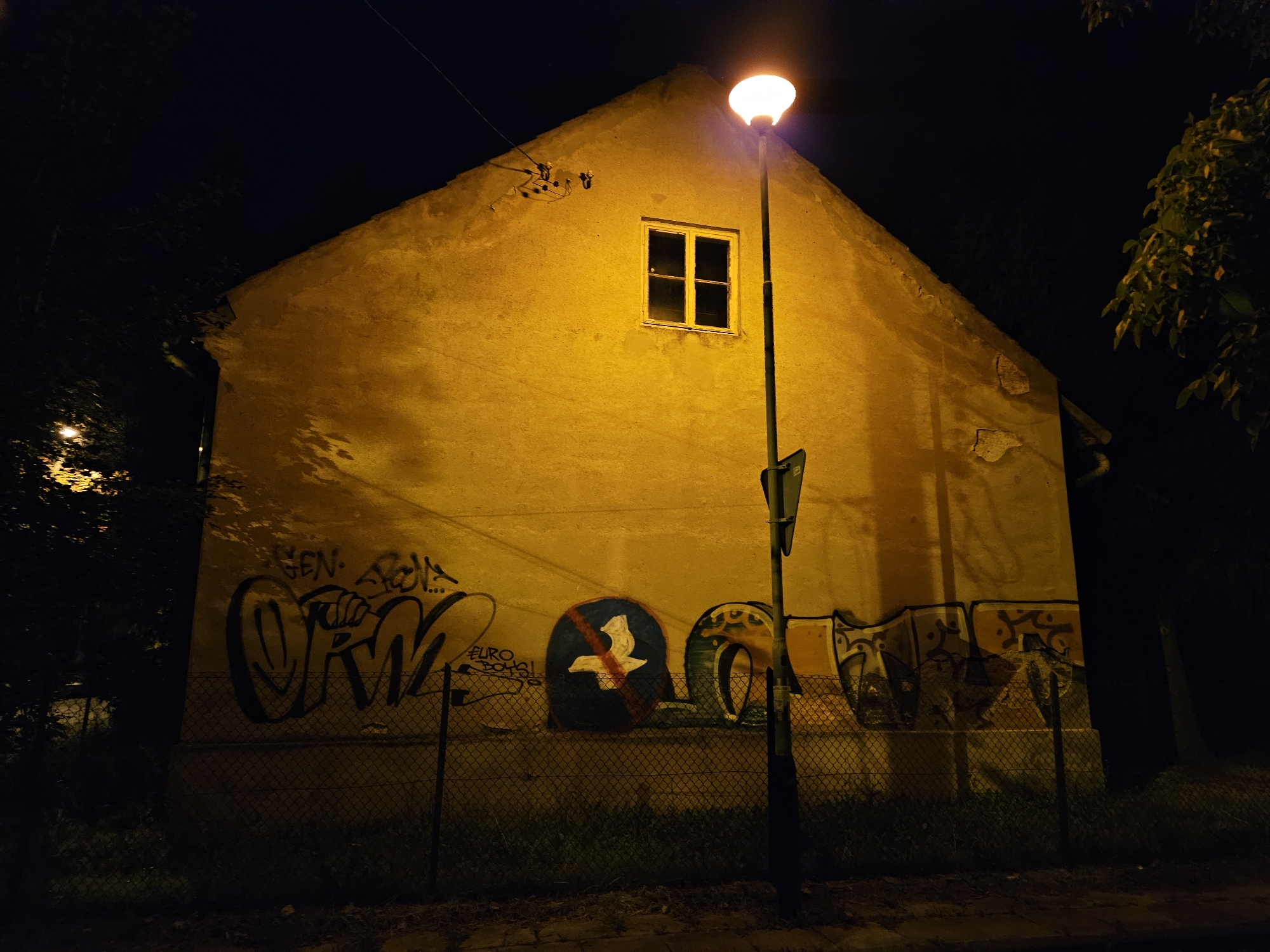 The image depicts the rear gable end of a dilapidated, two-story building at night. The building's facade is a faded yellow, textured with peeling plaster and marked with extensive graffiti. The graffiti includes large, stylized lettering, some of which appears to be black outlines. Notably, there is a circular emblem with a white bird-like figure crossed out by a red bar. A single, multi-paned window is visible near the peak of the gable. A modern street lamp with a bright, luminous head stands in front of the building, casting a warm glow on the wall and the surrounding dark environment. The building is bordered by a chain-link fence in front, with overgrown grass and foliage visible behind it and to the sides. Trees and branches loom in the darkness on the left and right edges of the frame, partially obscuring the sky and adding to the desolate atmosphere. The overall impression is one of urban decay and neglect, illuminated by artificial light. This scene is located at the intersection of ul. Podedwórze and ul. Wierzbowa in Rzeszów, Poland.