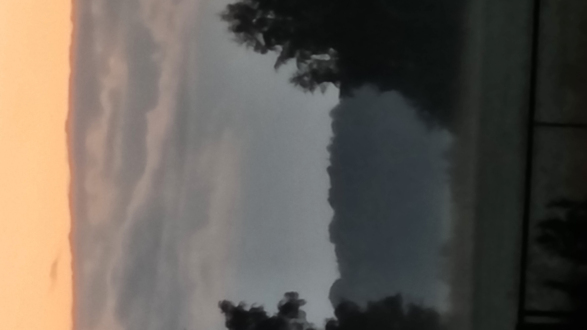 The image depicts a misty, possibly early morning landscape. The sky transitions from a pale orange at the top to muted gray clouds below. A layer of fog or low-lying clouds obscures the middle ground, where the silhouette of a treeline is faintly visible. Dark, shadowy trees frame the sides of the image. The foreground appears to be a dark, out-of-focus field, possibly with a railing or fence visible at the very bottom. The scene suggests a serene, possibly cold, and tranquil environment, with no visible people or activity. The location is stated to be Vysokoe, Russia.
