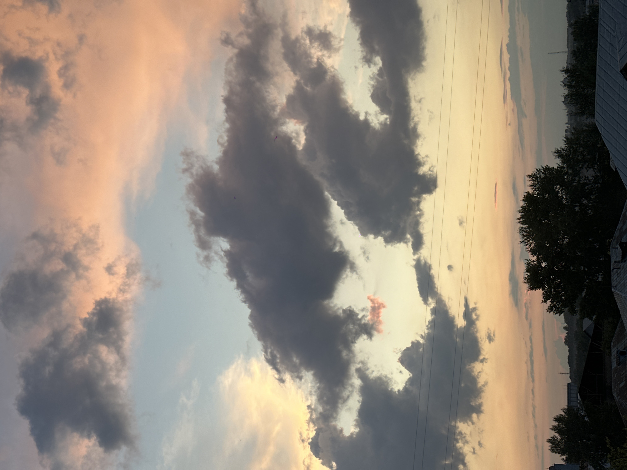 This is a photograph taken from a high vantage point in Biysk, Russia, looking upwards at a sky filled with clouds during what appears to be sunset or sunrise. The clouds are a mixture of dark gray and soft pink and orange hues, indicating the presence of sunlight reflecting off them. In the lower portion of the image, the silhouettes of trees and rooftops of buildings are visible, suggesting an urban or suburban environment. There are power lines strung across the sky, further indicating a populated area. The overall impression is a natural scene of atmospheric conditions over a city.