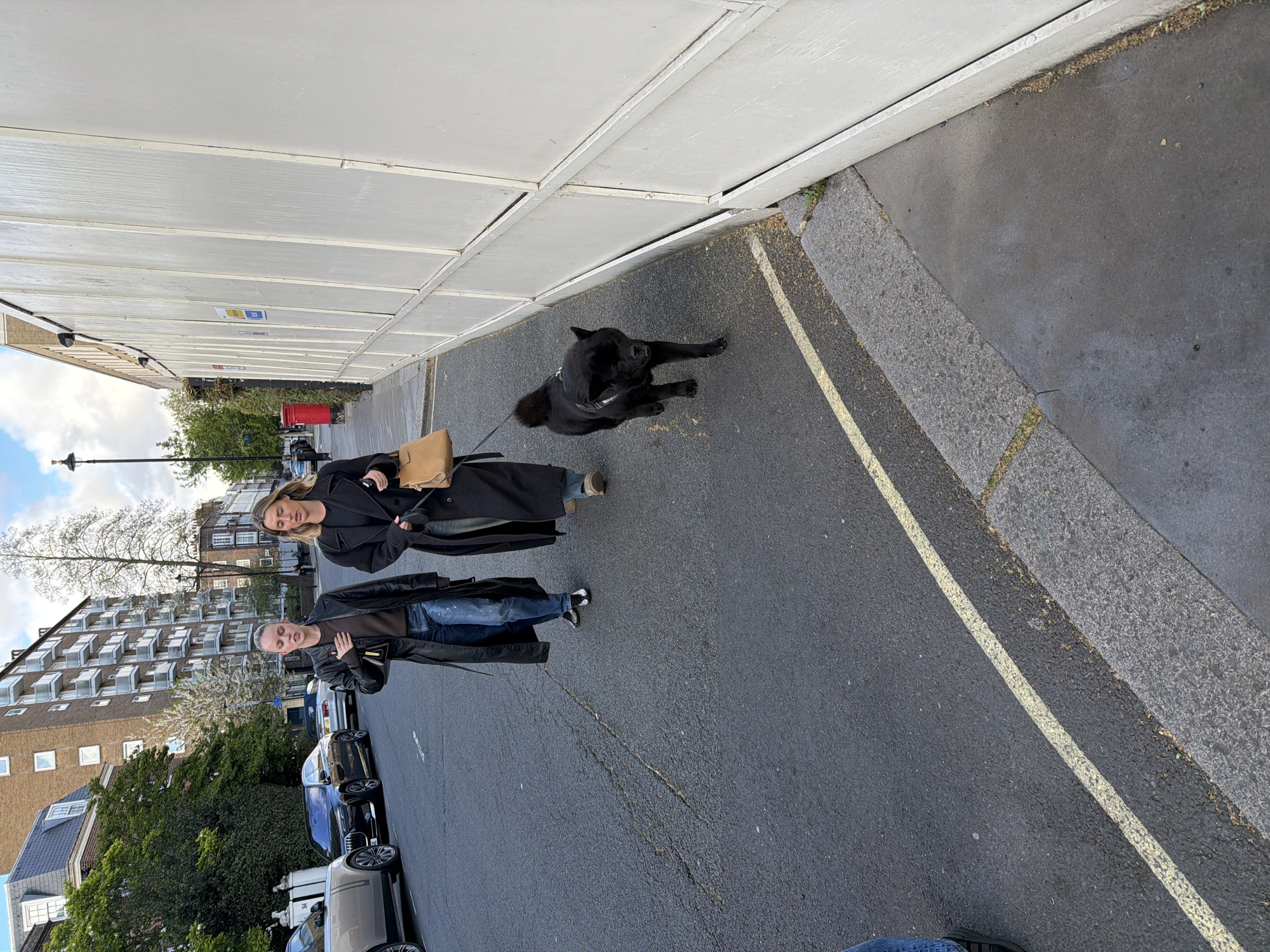 The image depicts a street scene in London, United Kingdom. Two women are walking a large black dog on a leash. The woman closest to the camera wears a brown shirt, blue jeans, and a black leather coat. The other woman wears a long black coat. They are walking on the asphalt road, which is lined with parked cars on one side. On the other side is a white wall, possibly part of a building, next to a concrete curb. Tall buildings are visible in the background, along with trees. The sky is overcast.