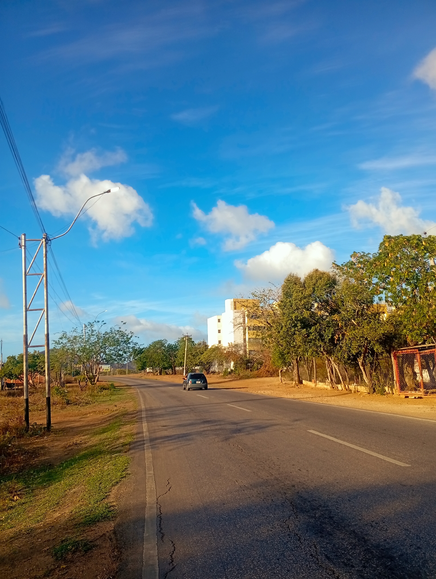 This image captures a street scene in Altagracia, Venezuela, under a bright blue sky with scattered white clouds. A paved road stretches into the distance, with a single white line marking the center and another at the edge of the right lane. On the left side of the road, a metal utility pole with wires and a street lamp stands prominently. Beyond the pole, dry grass and sparse vegetation line the roadside.
A dark-colored vehicle is traveling on the road, moving away from the viewer. To the right of the road, a row of trees with green foliage grows along a chain-link fence. In the background, a multi-story white building with some yellow accents is visible, surrounded by more trees. The overall impression is a sunny, daytime scene on the outskirts of a city.