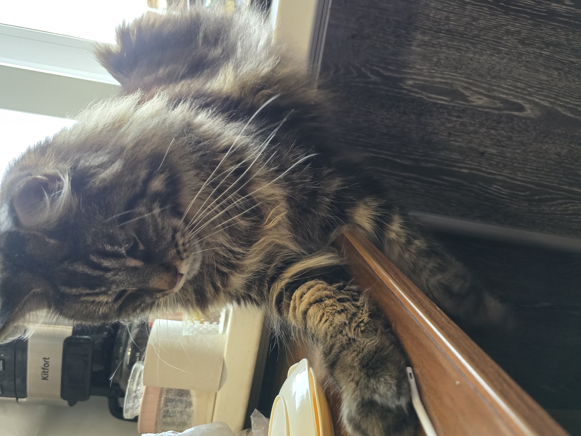 A long-haired, brown tabby cat rests on a windowsill, looking down with its eyes partially closed. Its front left paw extends over the edge of the sill, resting on a dark wood surface. In the background, a white and beige kitchen appliance with the word "Kitfort" printed on it is visible, along with some white containers. The environment appears to be an indoor kitchen or dining area, likely in a residential setting.