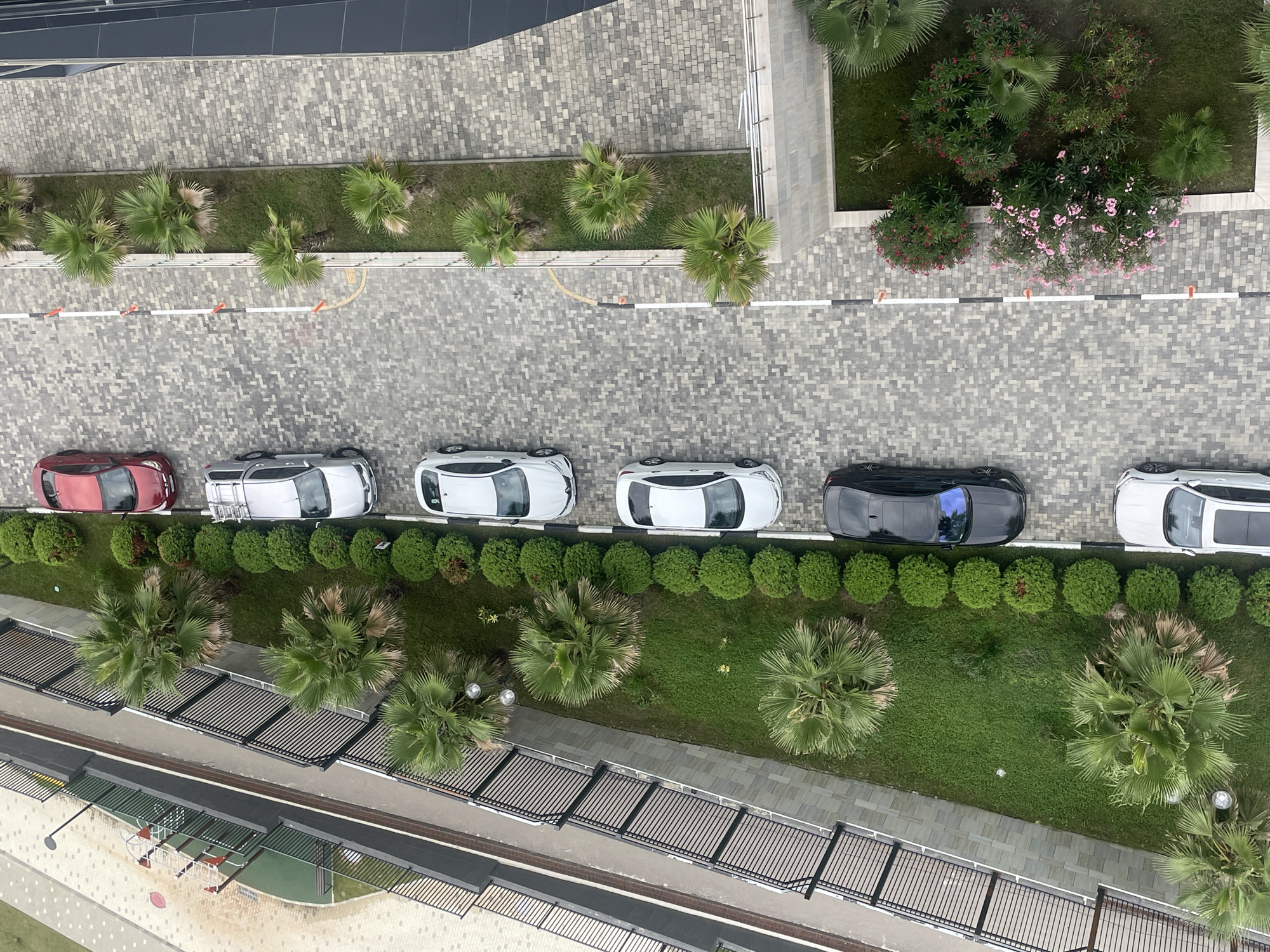 This is an aerial, high-angle, full shot of a parking area in Sochi, Russia. A row of parked cars, including a red sedan, a silver hatchback, two white sedans, and a black SUV, are parked parallel to a footpath lined with palm trees and manicured bushes. A children's playground is visible in the background, alongside a fence and a sidewalk. The scene appears to be on a cloudy day.