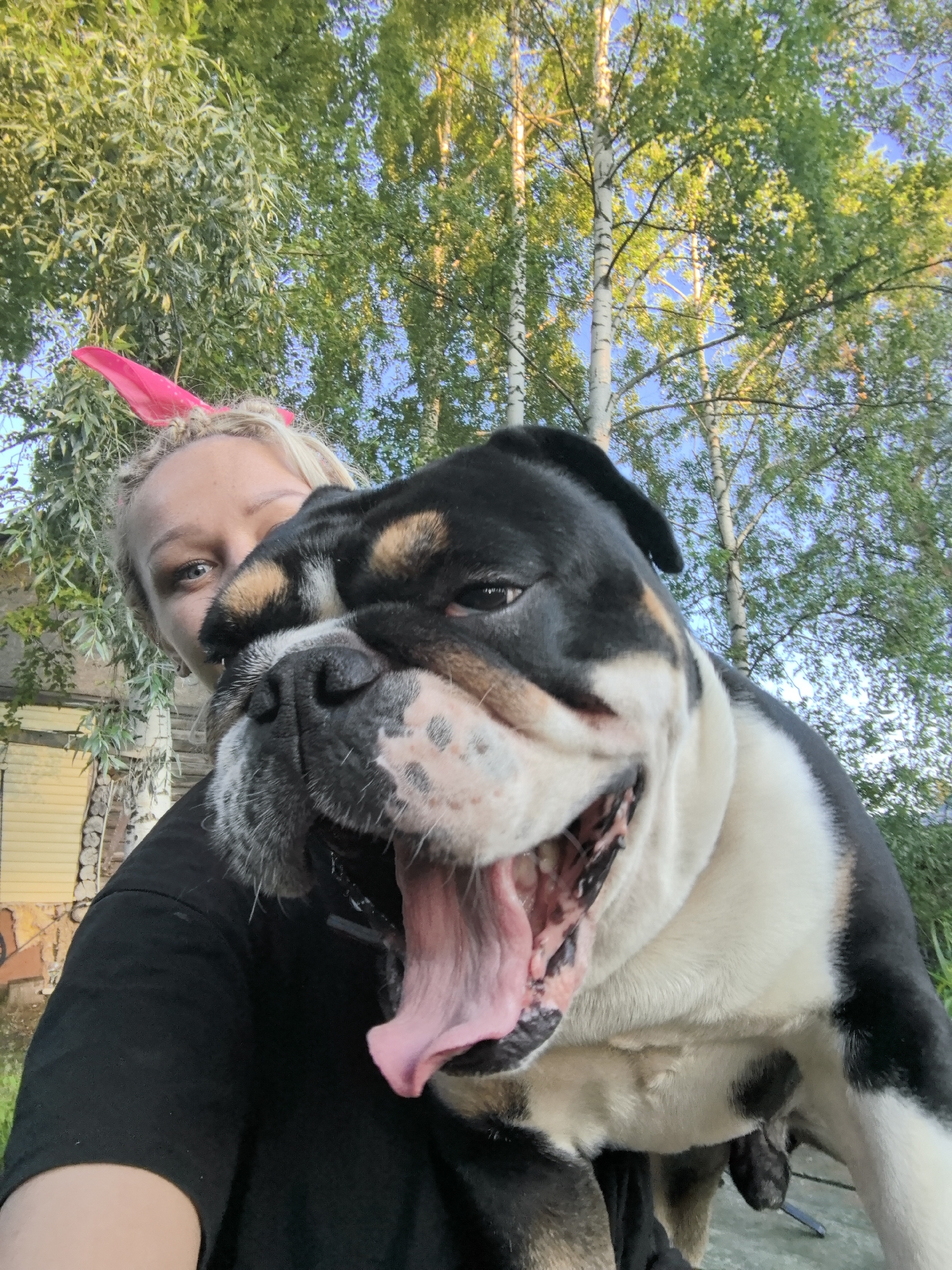 A young woman with blonde hair and pink bunny ears is taking a selfie outdoors. She is holding a large English bulldog, which is yawning widely, its pink tongue hanging out. The woman is wearing a black t-shirt. The background features lush green trees and a bright blue sky, suggesting it is daytime. Behind the woman and to her left, a rustic building with yellow siding and a stone foundation is visible. The overall scene appears to be a casual, outdoor setting, possibly a backyard in Noviy, Russia. The woman's expression is partially obscured by the dog, but she seems to be looking at the camera. The bulldog's wide yawn and the woman's bunny ears suggest a playful or lighthearted moment. There is no visible text in the image.