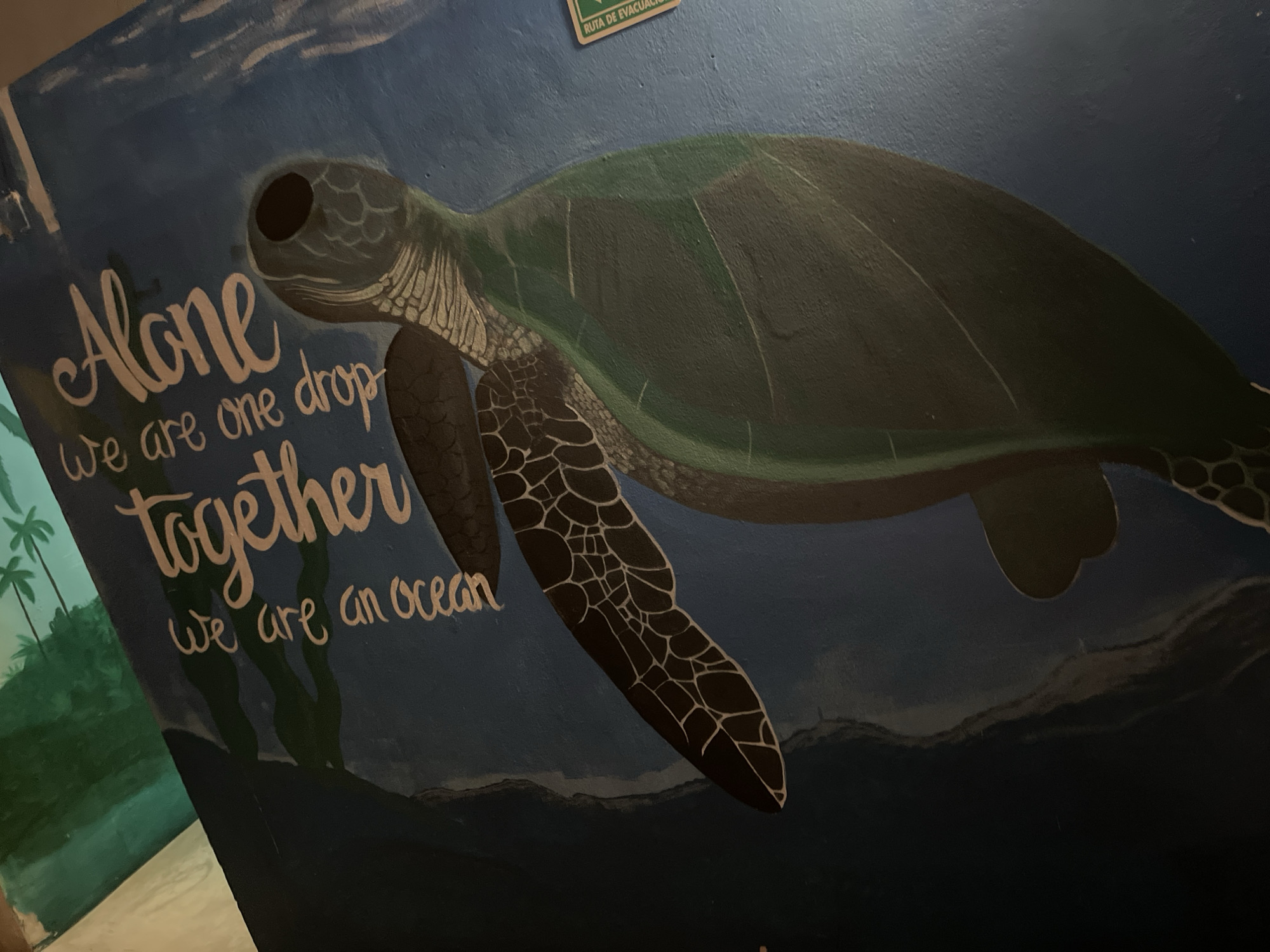 A medium-shot, angled indoor photograph shows a mural on a wall. The mural depicts a sea turtle with a dark green shell, a black head, and one visible black flipper marked with white lines. The turtle swims to the right, and beneath it are painted dark blue waves. To the left of the turtle, in cursive, are the words "Alone we are one drop together we are an ocean" written in a cream color. Further to the left, indistinct shapes of palm trees and grass are painted. A yellow evacuation sign is on the wall above the turtle's shell. The photo was taken in Playa del Carmen, Mexico.