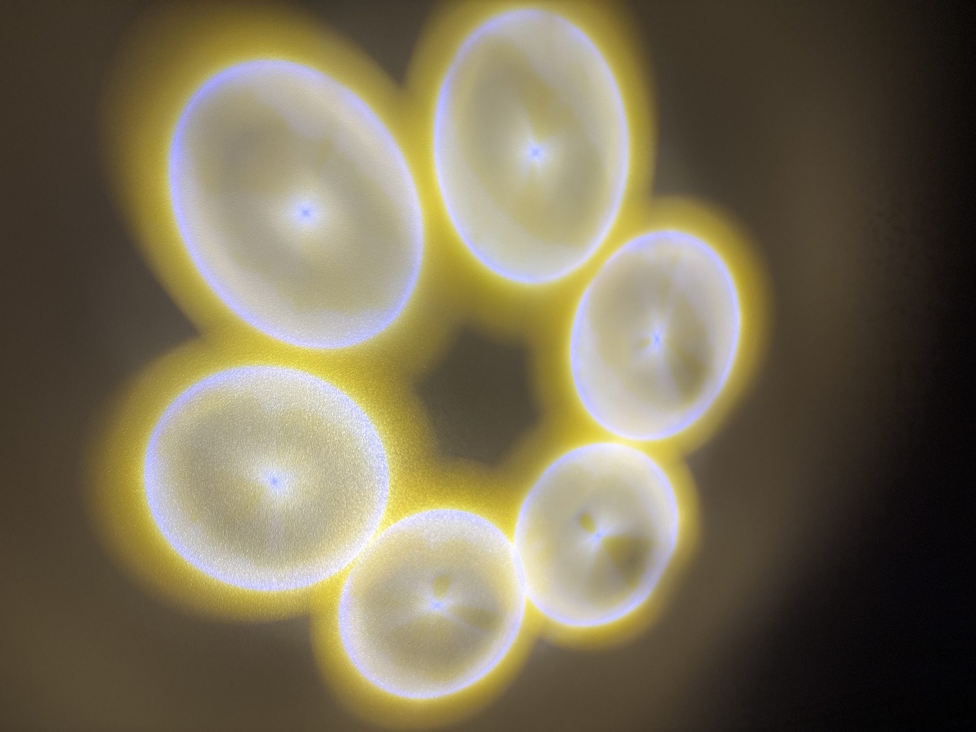 In an indoor environment, a projection of circular light patterns illuminates a dark, textured surface. The light displays a gradient from a bright, soft white at the center of each circle, transitioning to a pale blue, and then to a vibrant yellow halo. The circles are arranged in a semi-circular formation, suggesting a decorative lighting effect. The background is a neutral, muted tone that gradually darkens into blackness, creating a stark contrast with the illuminated patterns. There are no people or discernible objects present in the scene, apart from the light patterns themselves. The location is unknown.
