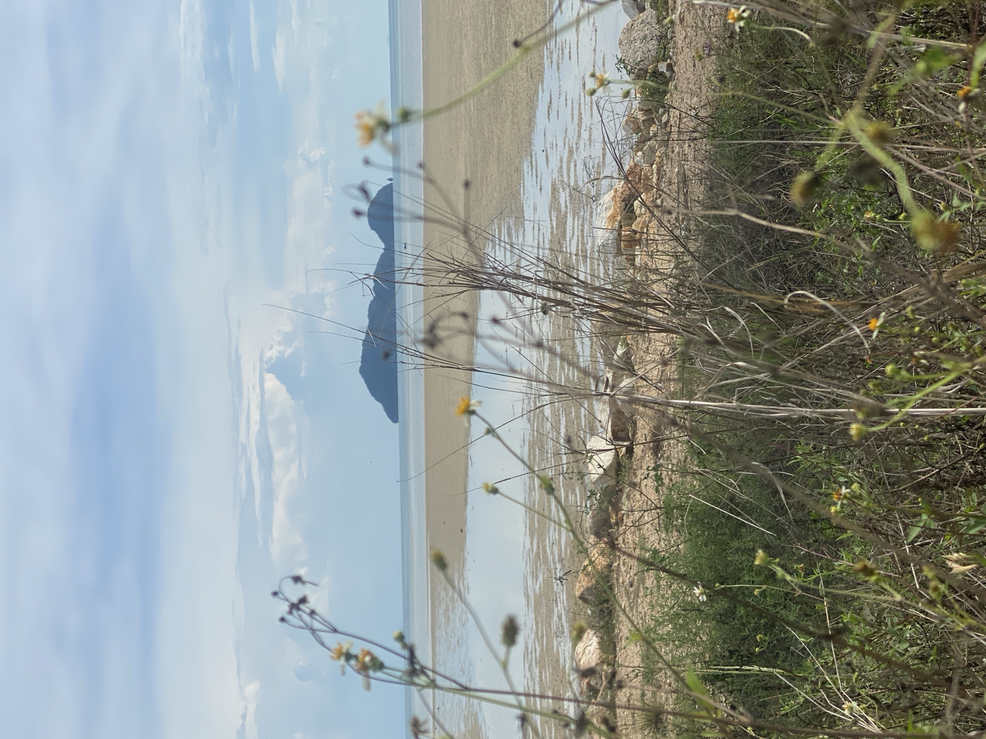 The image depicts a coastal scene in Baan Sri Thanu, Thailand. The foreground features sparse vegetation, including grasses and small flowering plants, some of which are blurred, suggesting they are close to the camera. Behind the vegetation, a sandy beach transitions into shallow water, reflecting the sky and clouds. In the distance, a dark, rocky island rises from the sea, silhouetted against the sky. The sky is partly cloudy with blue patches. The overall scene suggests a natural coastal environment, possibly taken near the edge of the beach vegetation.