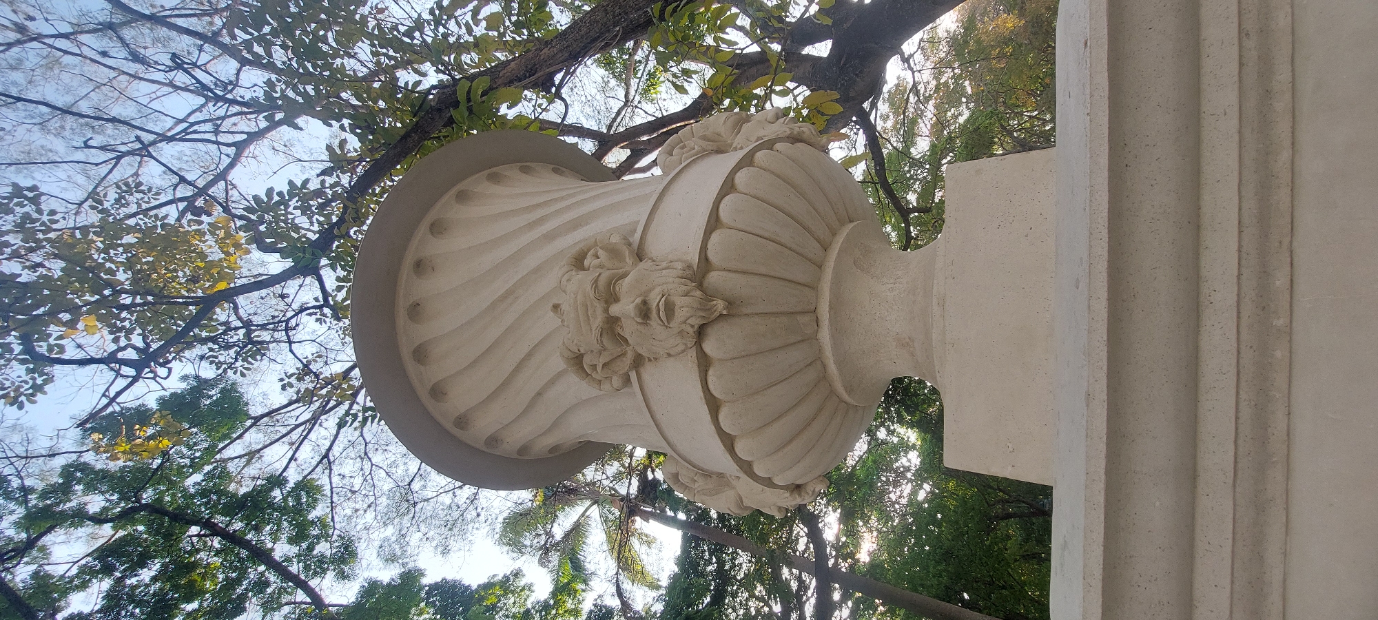 A low-angle shot depicts a large, ornate, off-white stone urn or vase set against a backdrop of trees and sky, possibly located in Caracas, Venezuela. The urn features decorative relief carvings, including what appear to be faces. It sits atop a fluted square pedestal. The surrounding environment includes tree branches with green leaves and hints of sunlight filtering through the foliage, indicating a park or garden setting. The sky is visible through the branches.