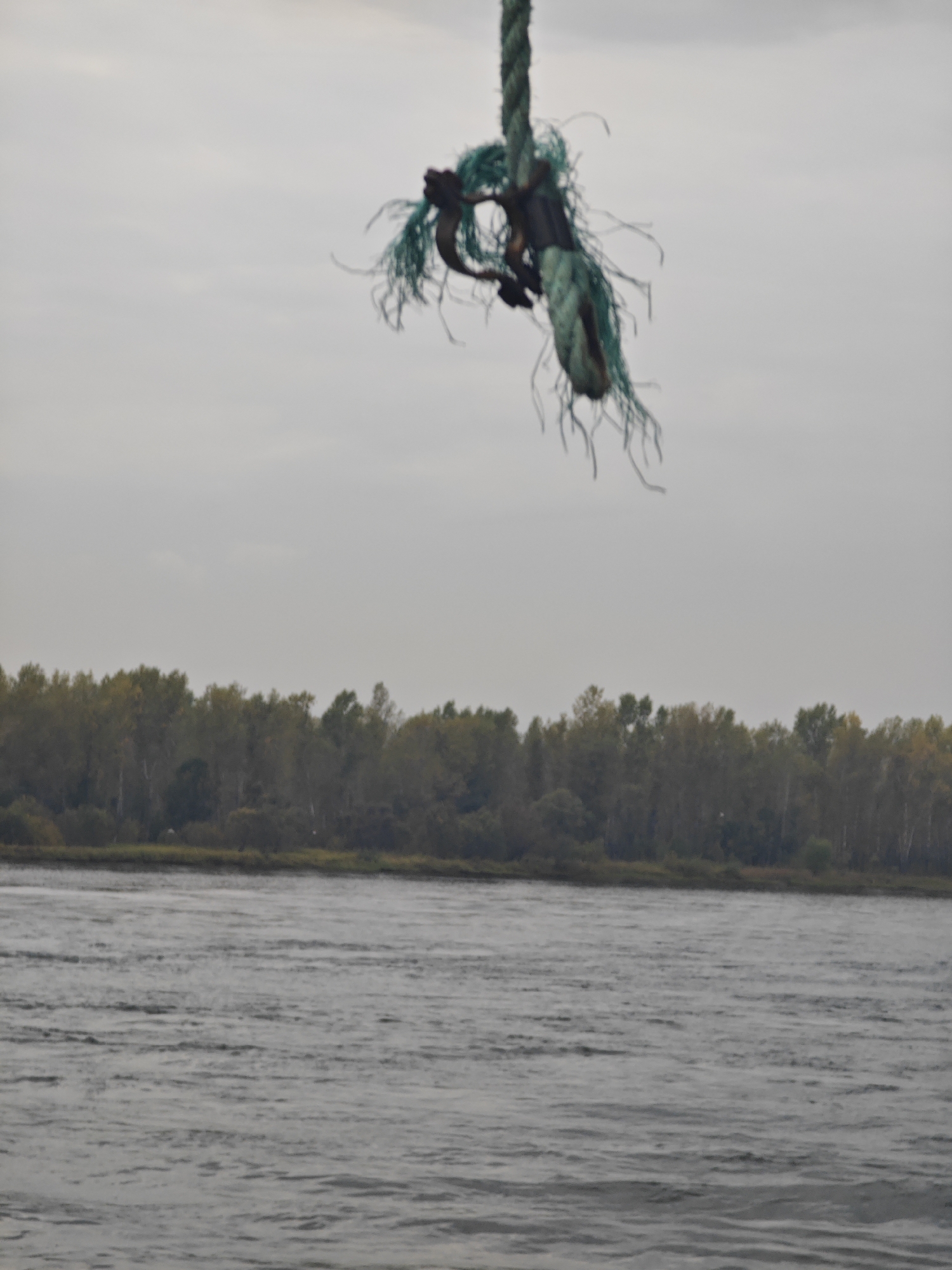 A frayed green rope hangs precariously in the foreground against a cloudy, overcast sky. The rope is partially unraveling, with strands of green material splayed out, attached to what appears to be a dark, metallic object. Below the rope, a wide, calm body of water fills the lower portion of the frame, its surface rippled by a gentle current. In the background, a dense line of trees forms a dark green and yellow-tinged forest, suggesting it is either late summer or early autumn. The treeline stretches horizontally across the image, creating a natural boundary between the water and the sky. There are no people or animals visible in the scene, and no specific landmarks are identifiable to pinpoint the location within Ермолаево, Russia. The overall atmosphere is somber and still, with the focus drawn to the decaying rope against the muted backdrop.