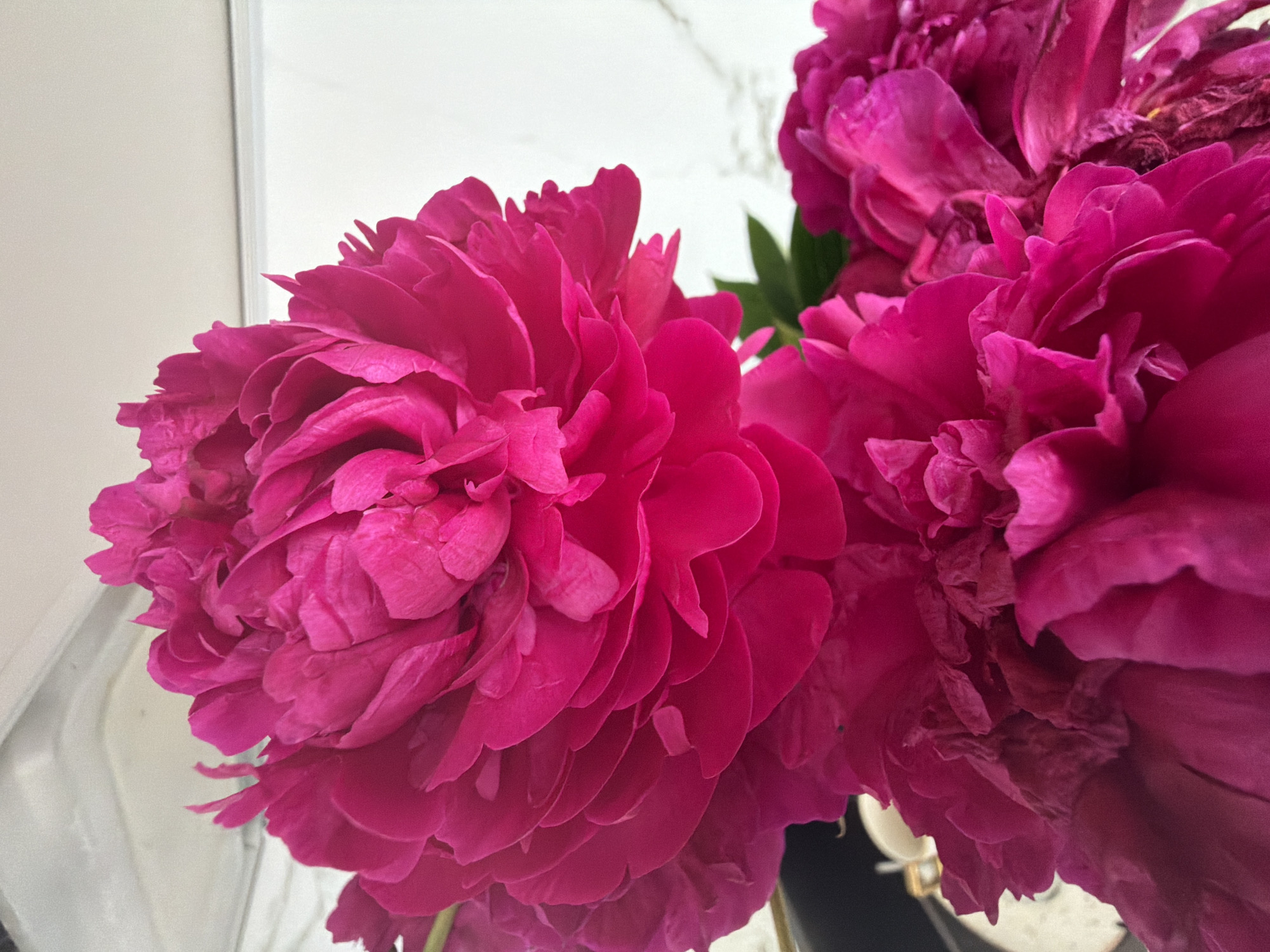 A close-up, vertical, medium shot captures a bouquet of vibrant fuchsia peonies against a blurred background. The flowers dominate the frame, their layered petals creating a sense of fullness and texture. The lighting appears soft, highlighting the velvety sheen of the petals. There is no discernible environment or location beyond the implied setting of a bouquet of flowers. The scene is devoid of any people, actions, or interactions. The background is out of focus, with hints of white and light gray, suggesting a neutral interior space, possibly a wall or a draped fabric. There is no connection to Malinovka, Russia.