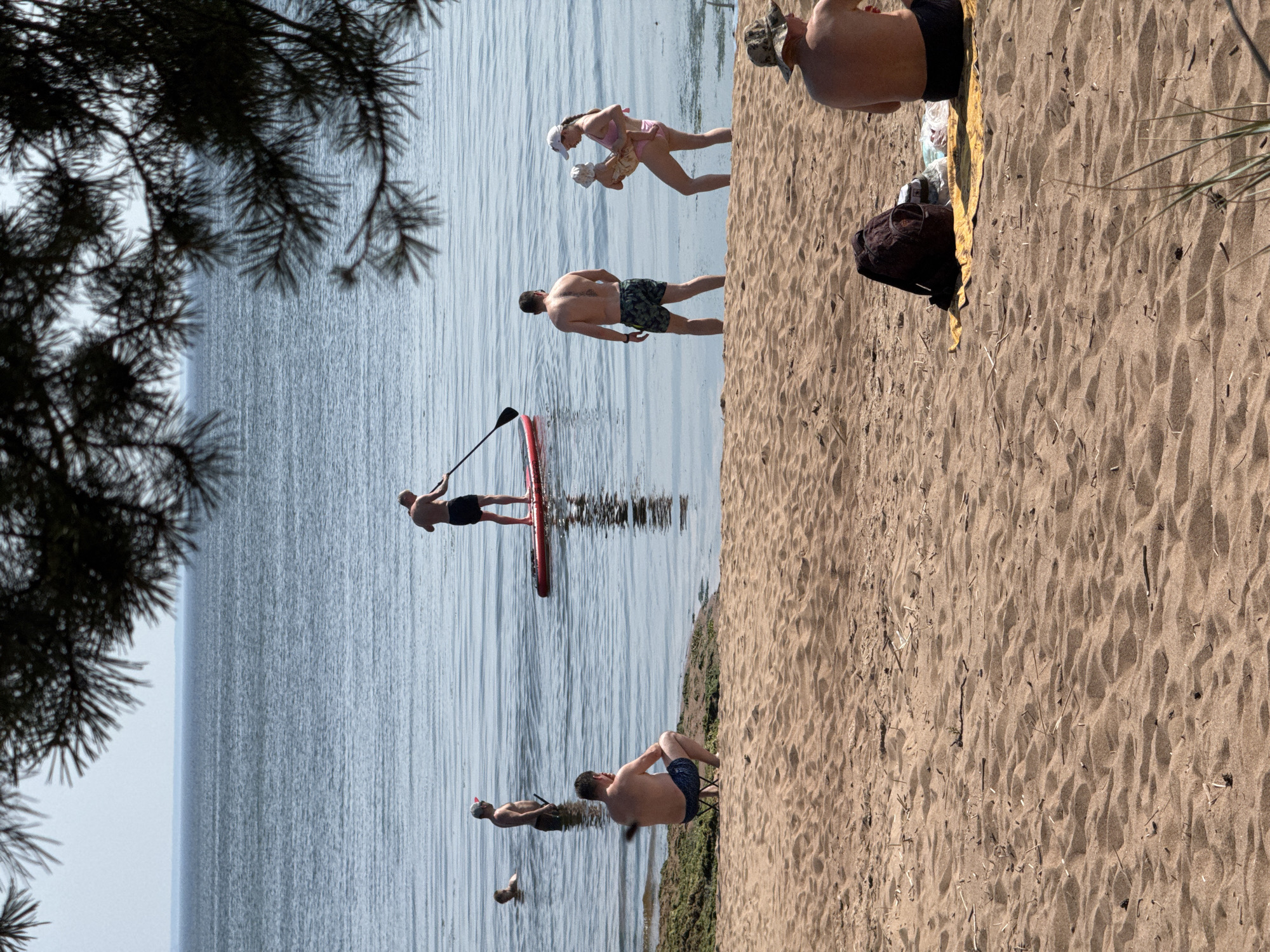 In Zelenaya Roshcha, Russia, a sunny day at the beach finds several individuals enjoying the water and sand. A man stands on a red paddleboard in the calm, blue water, using a paddle. To his left, another man stands in the water. Further left, a child is visible in the water. On the sandy shore in the foreground, a man sits on a small stool, facing the water, with a towel and backpack nearby. To the right, a man wearing a hat sits on a yellow towel, with his back to the camera. A woman in a pink swimsuit stands in the shallow water holding a baby. Pine branches frame the top of the image, casting shadows on the scene.