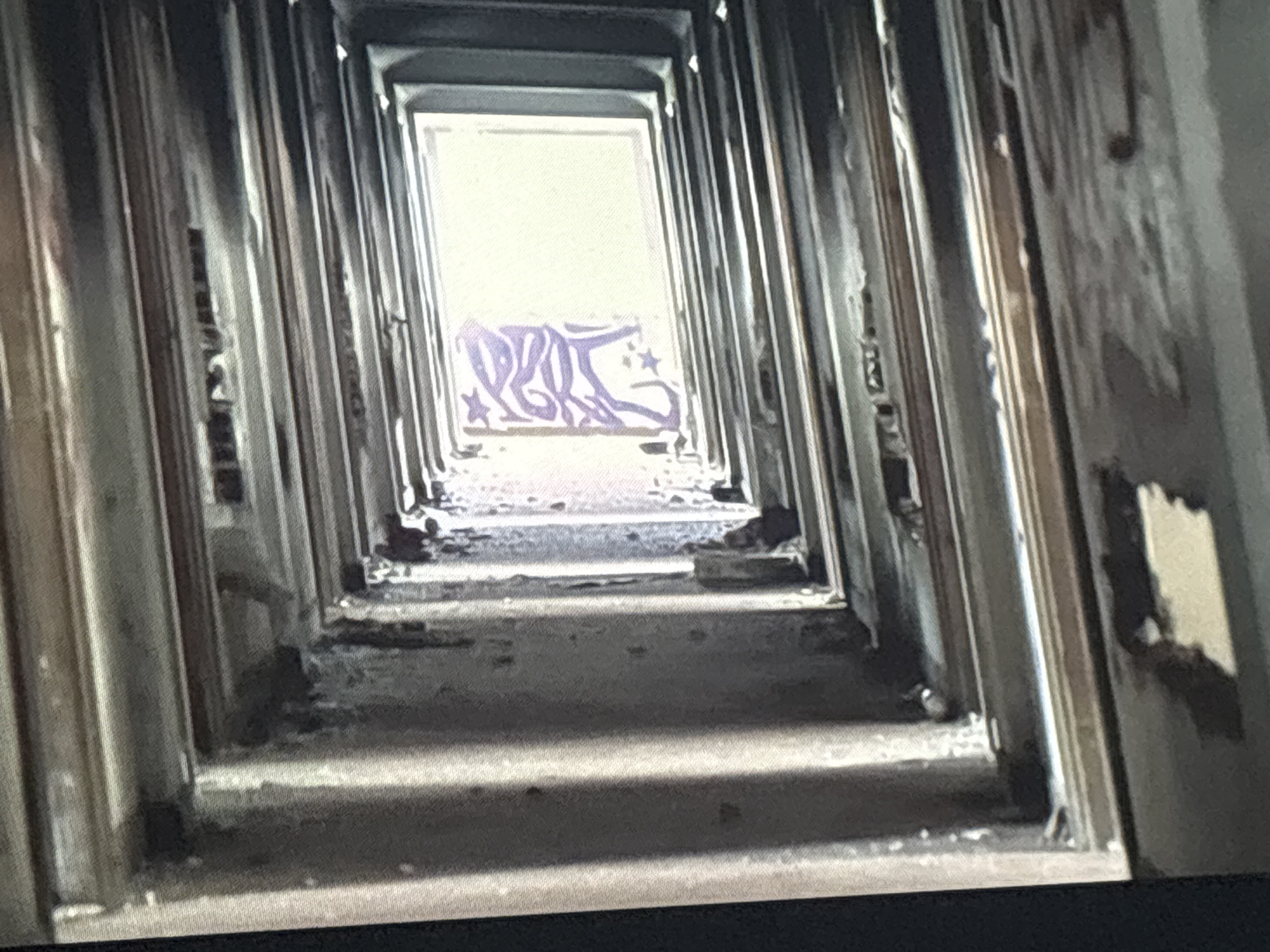 The image depicts a long, symmetrical hallway or corridor within an evidently abandoned or heavily deteriorated building in Buenos Aires, Argentina. The perspective is directed down the length of the passage towards a bright, rectangular opening at the far end, which serves as the primary light source and creates strong shadows on the floor.
The hallway is characterized by its dilapidated state. Both sides are lined with repeating architectural elements, likely former doorways or structural divisions, now showing significant signs of wear. The walls feature peeling paint and crumbling plaster, while the floor is uneven, soiled, and covered with debris, particularly noticeable towards the distant opening.
At the brightly lit far end of the hallway, on what appears to be a wall or surface, a piece of purple graffiti is clearly visible. The stylized script is abstract but seems to contain letters such as "PBR" or "PRB," flanked by swirling patterns and two distinct five-pointed stars. The intense light from the opening suggests it is daytime. No individuals or active events are present, conveying a profound sense of abandonment and urban decay.